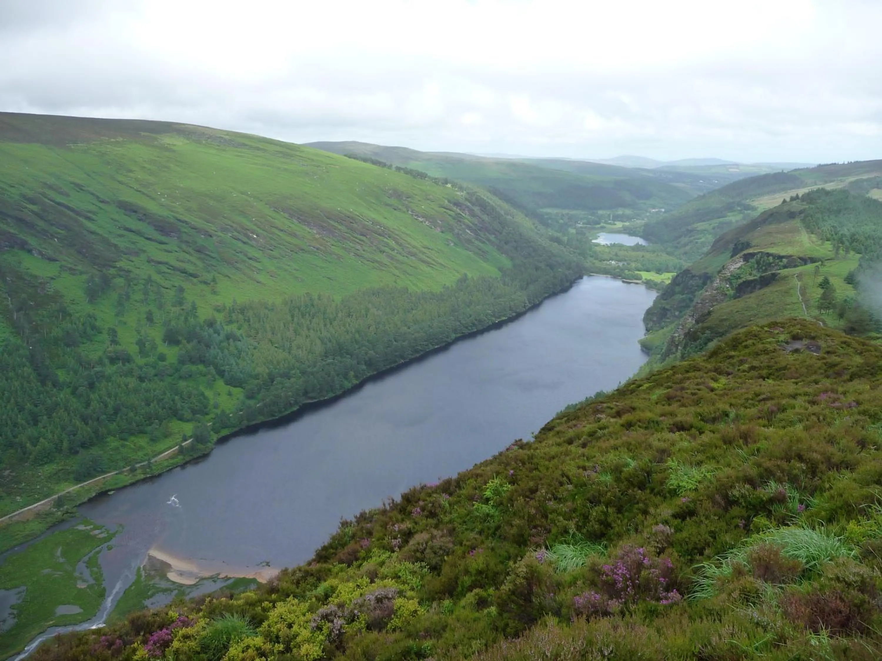 Natural landscape in Lough Dan House