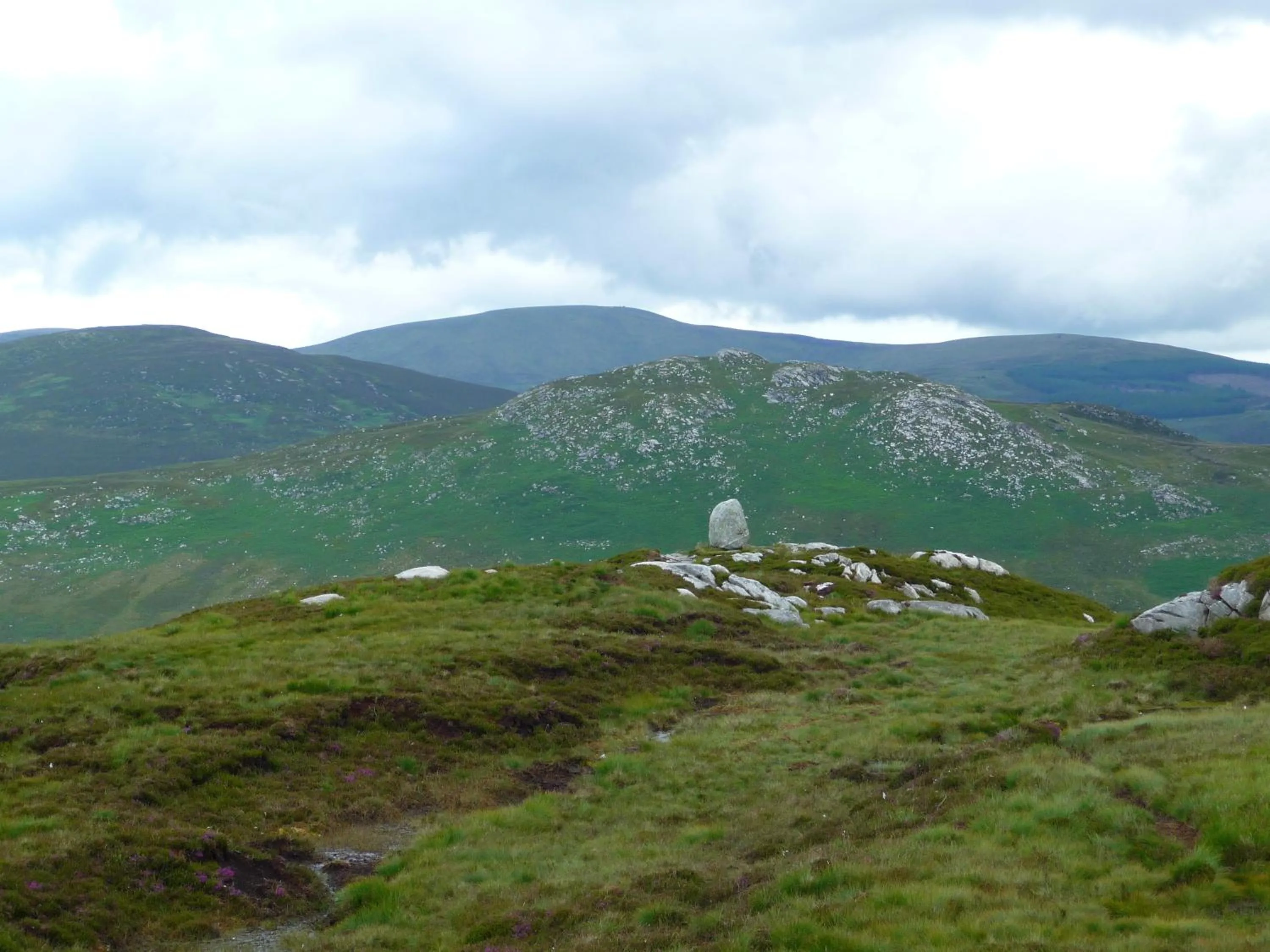 Natural landscape in Lough Dan House