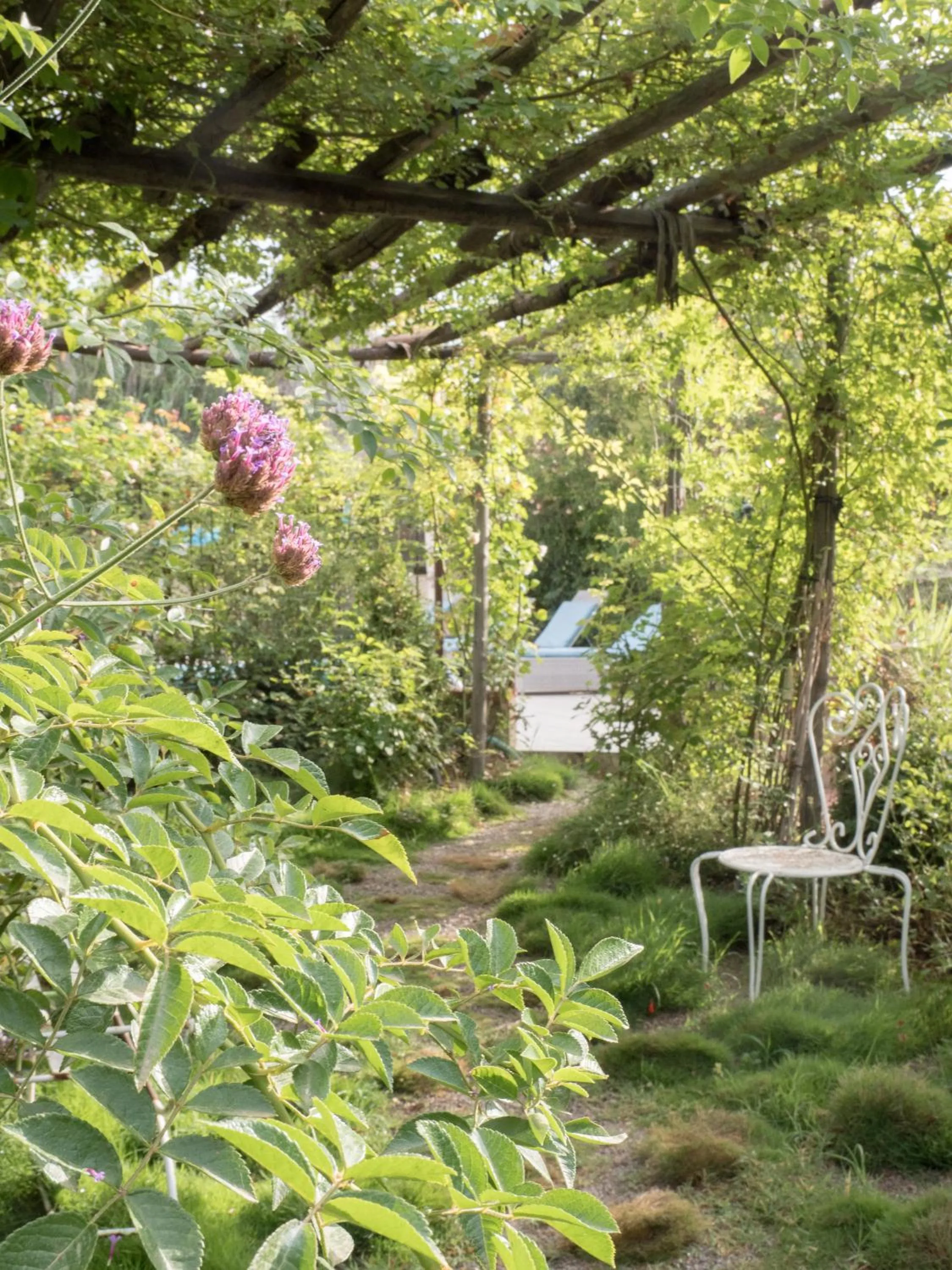 Garden in Le Mas de la Prade