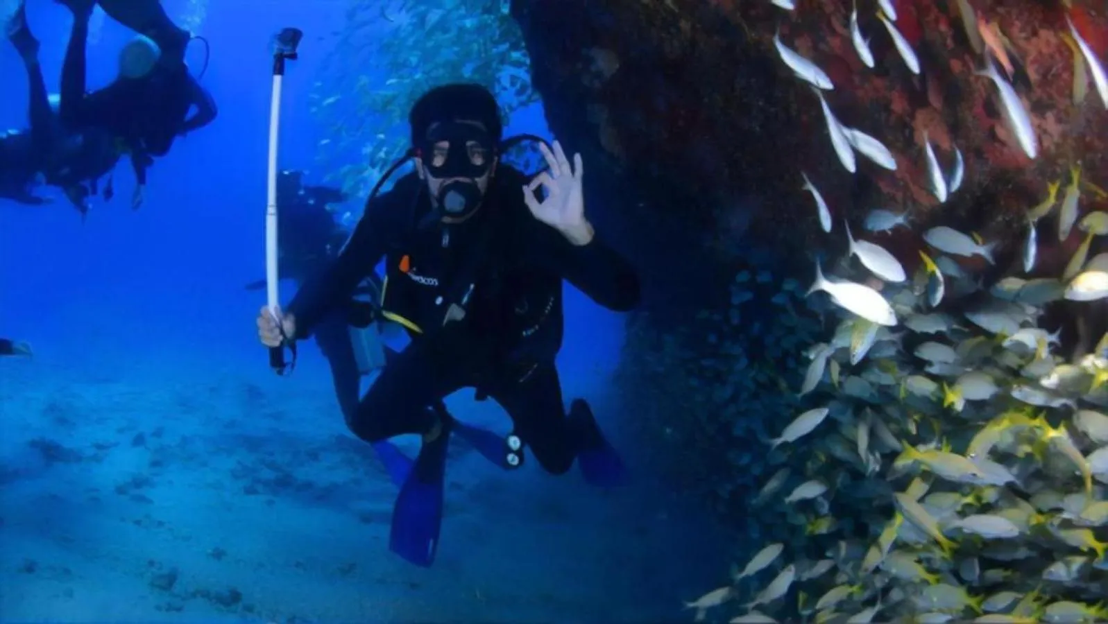 Snorkeling in Abrazo Villas