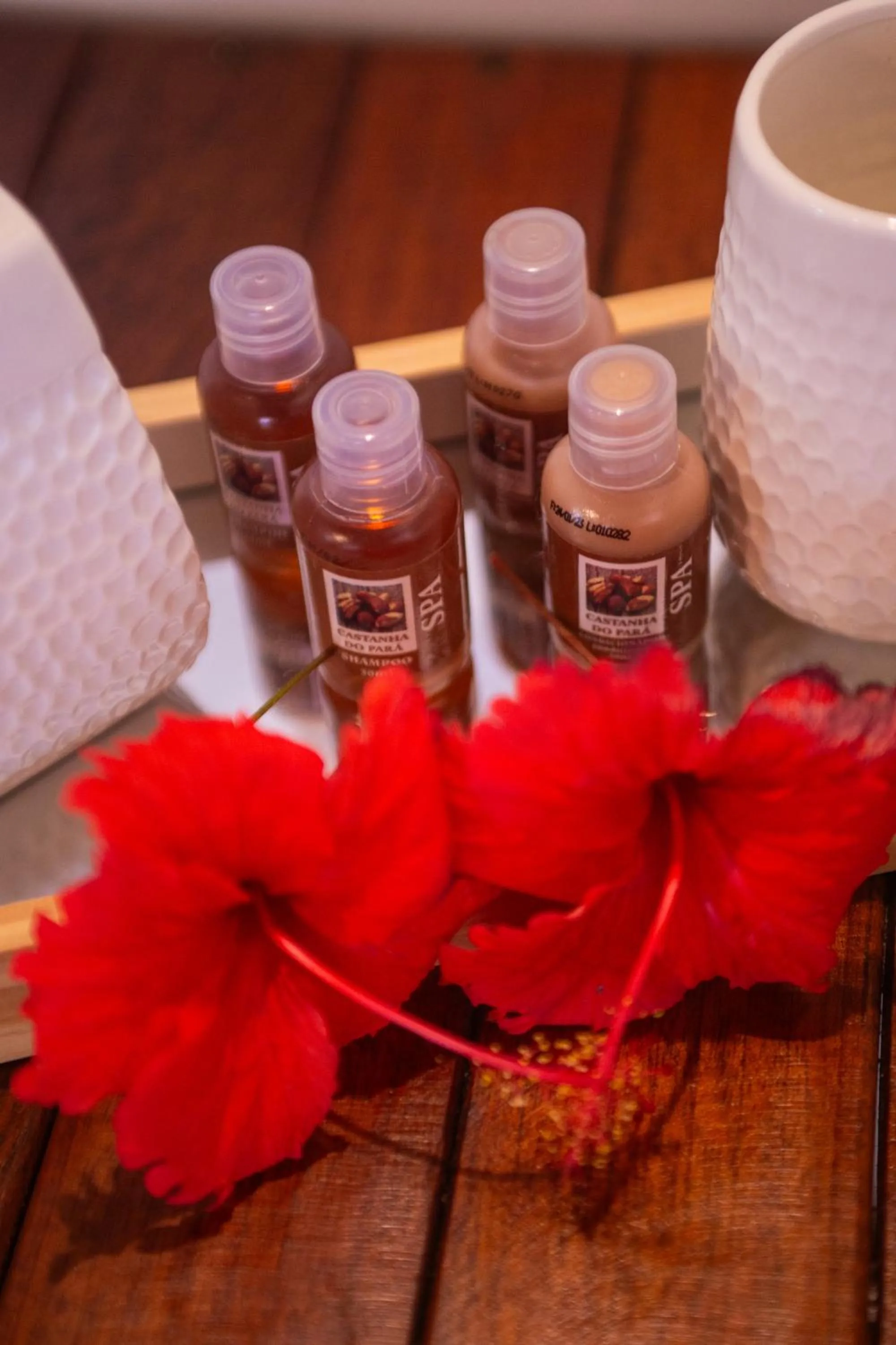 Area and facilities in Pousada Santú Noronha