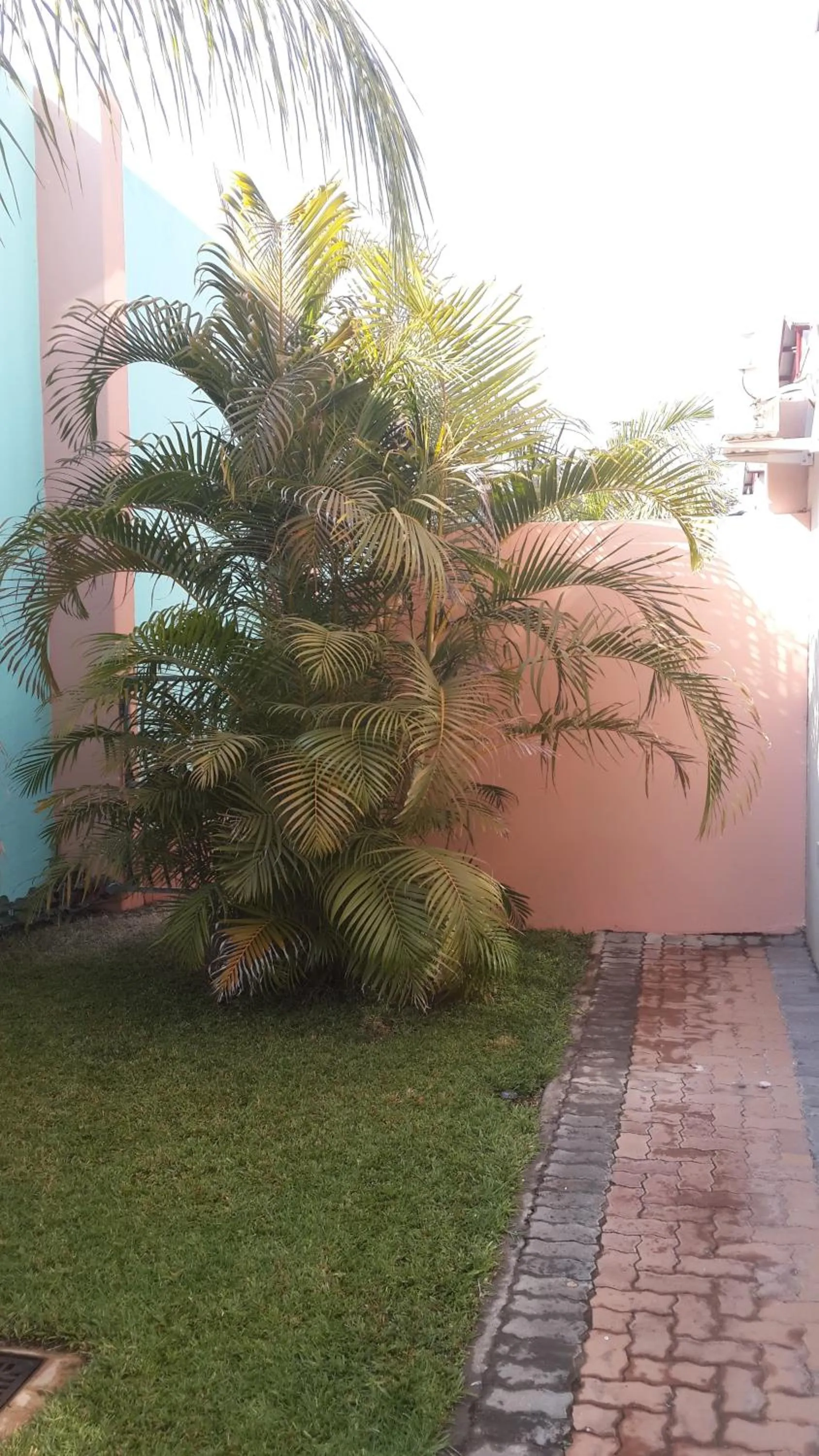 Garden in Palm Valley Inn And Day Spa