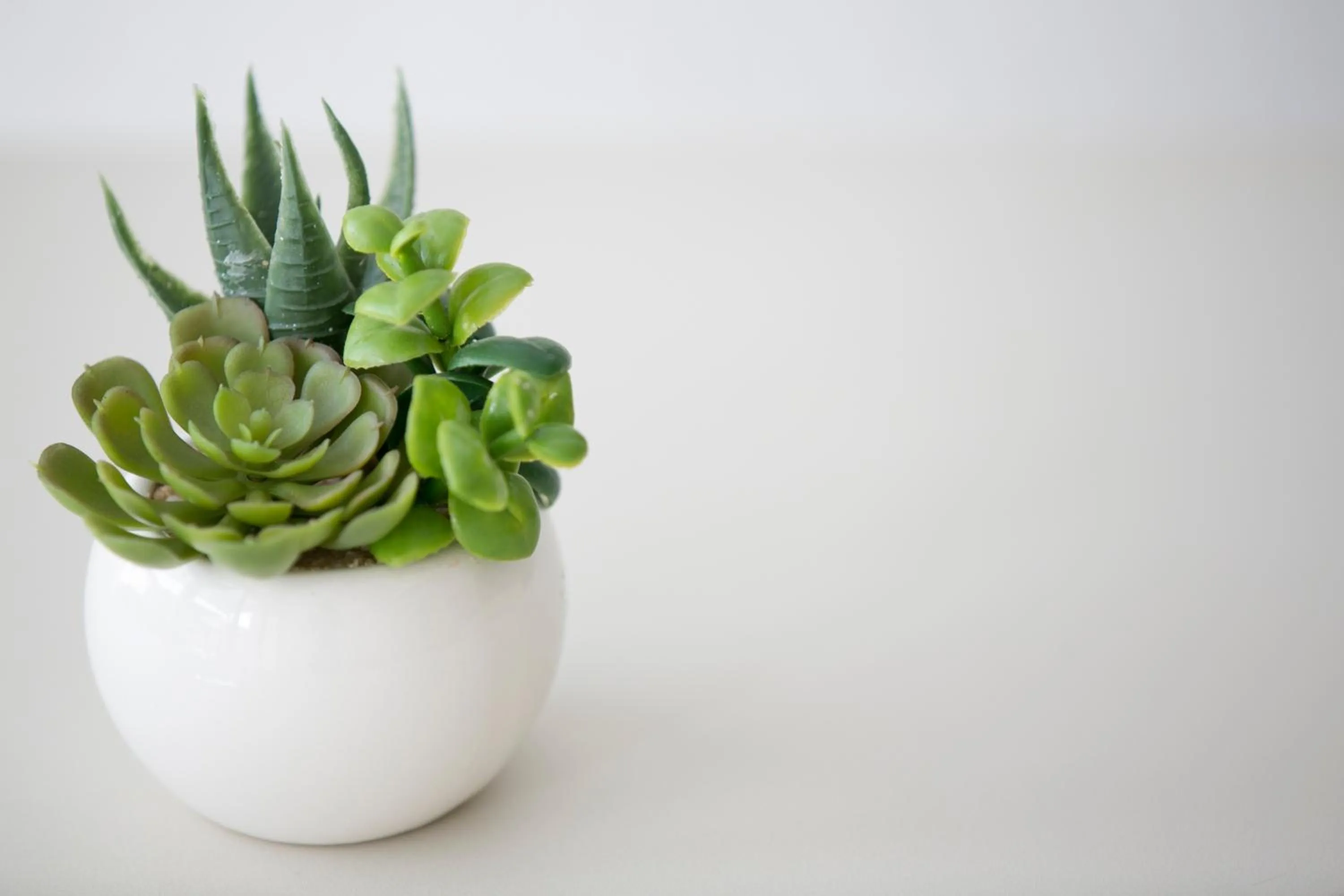 Seasons in Rotte e Sentieri B&B