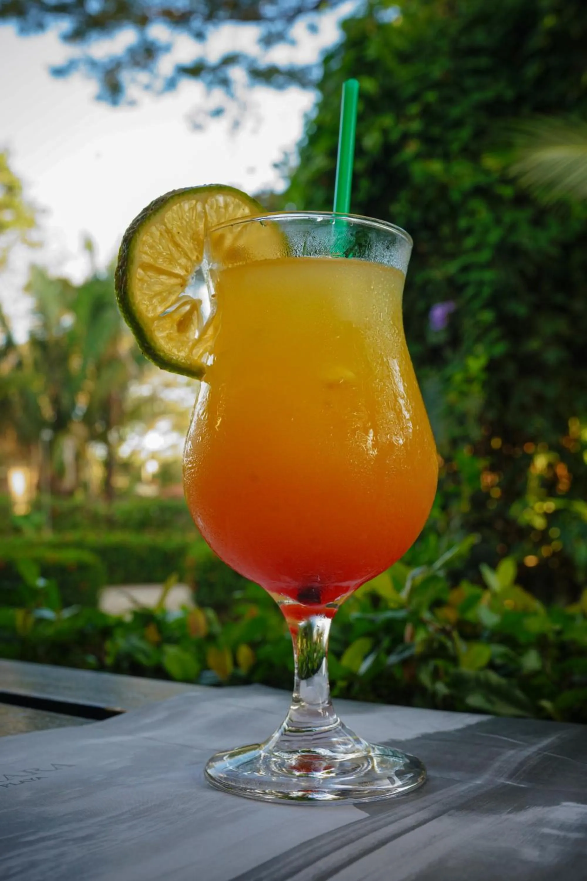 Lounge or bar in Hotel Sol Sámara