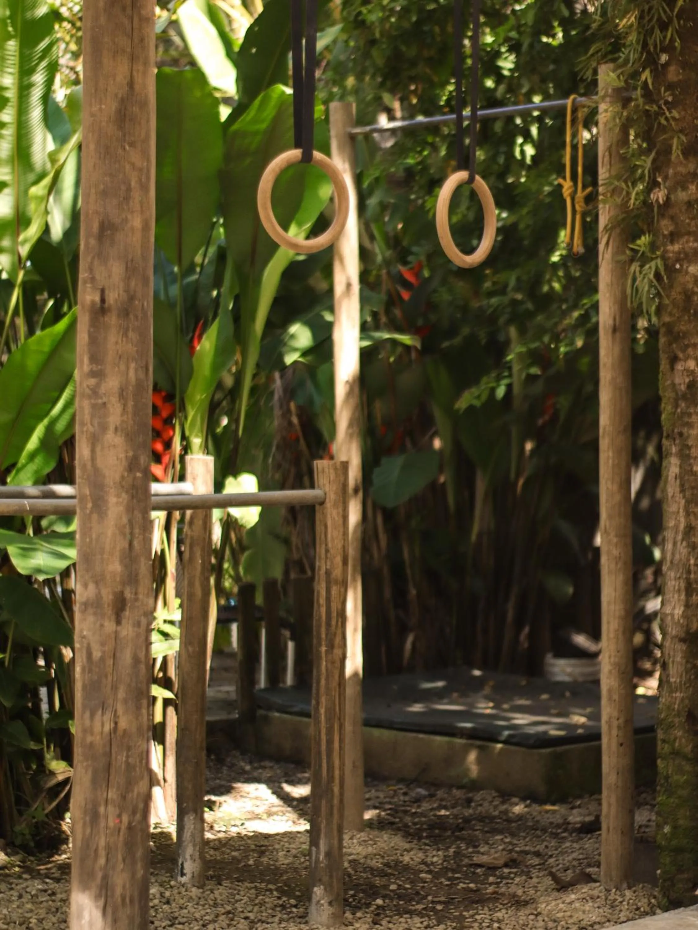 Garden in Pousada e Hostel Marthi