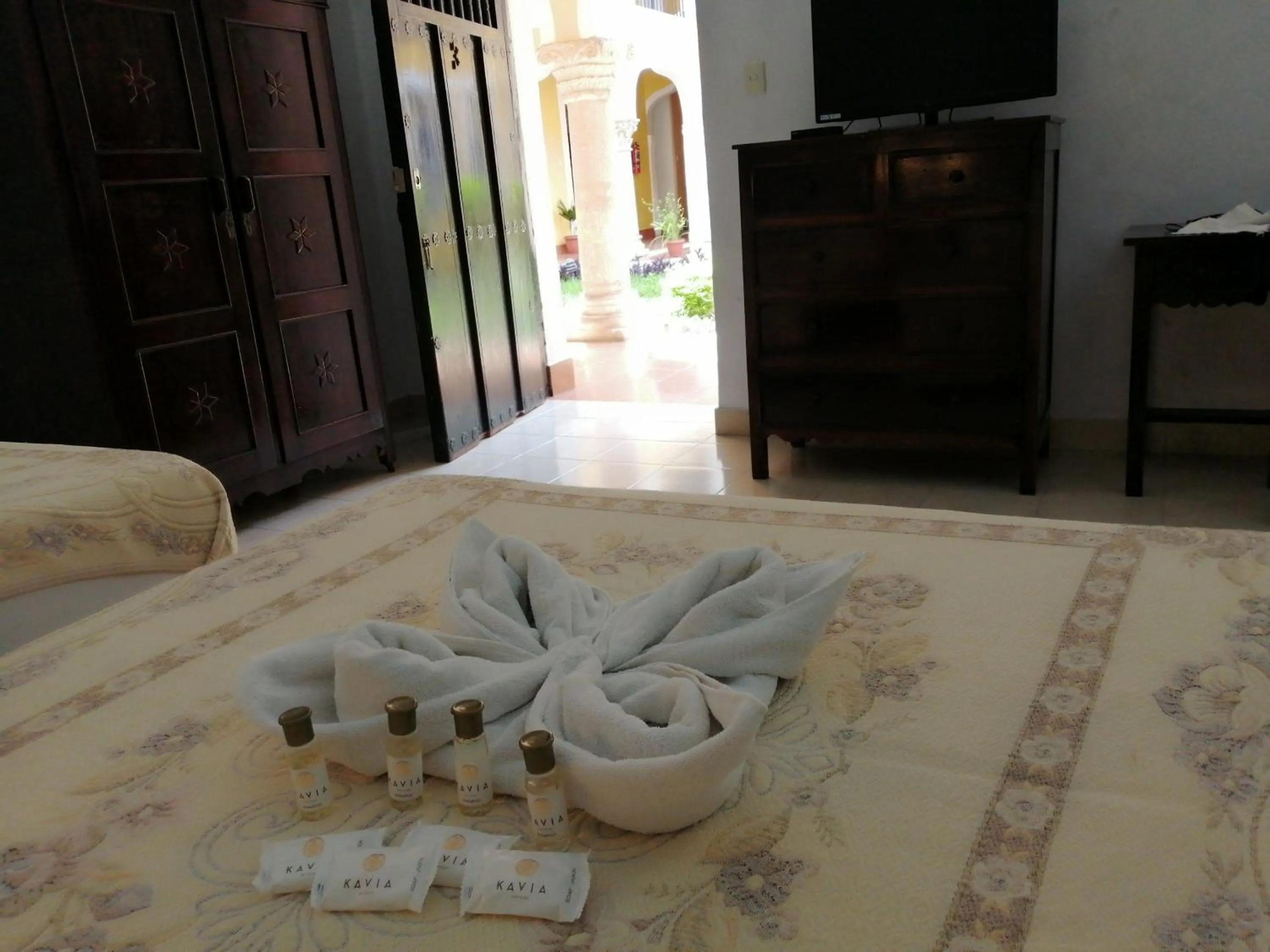 TV and multimedia in Hotel Montejo