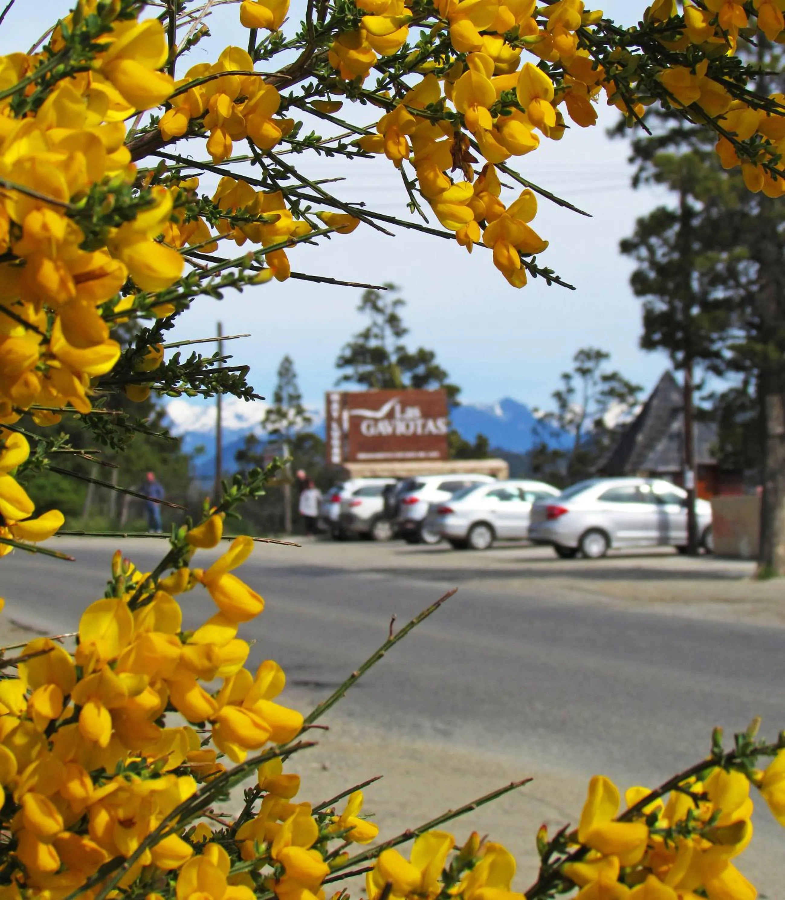 Street view in Las Gaviotas