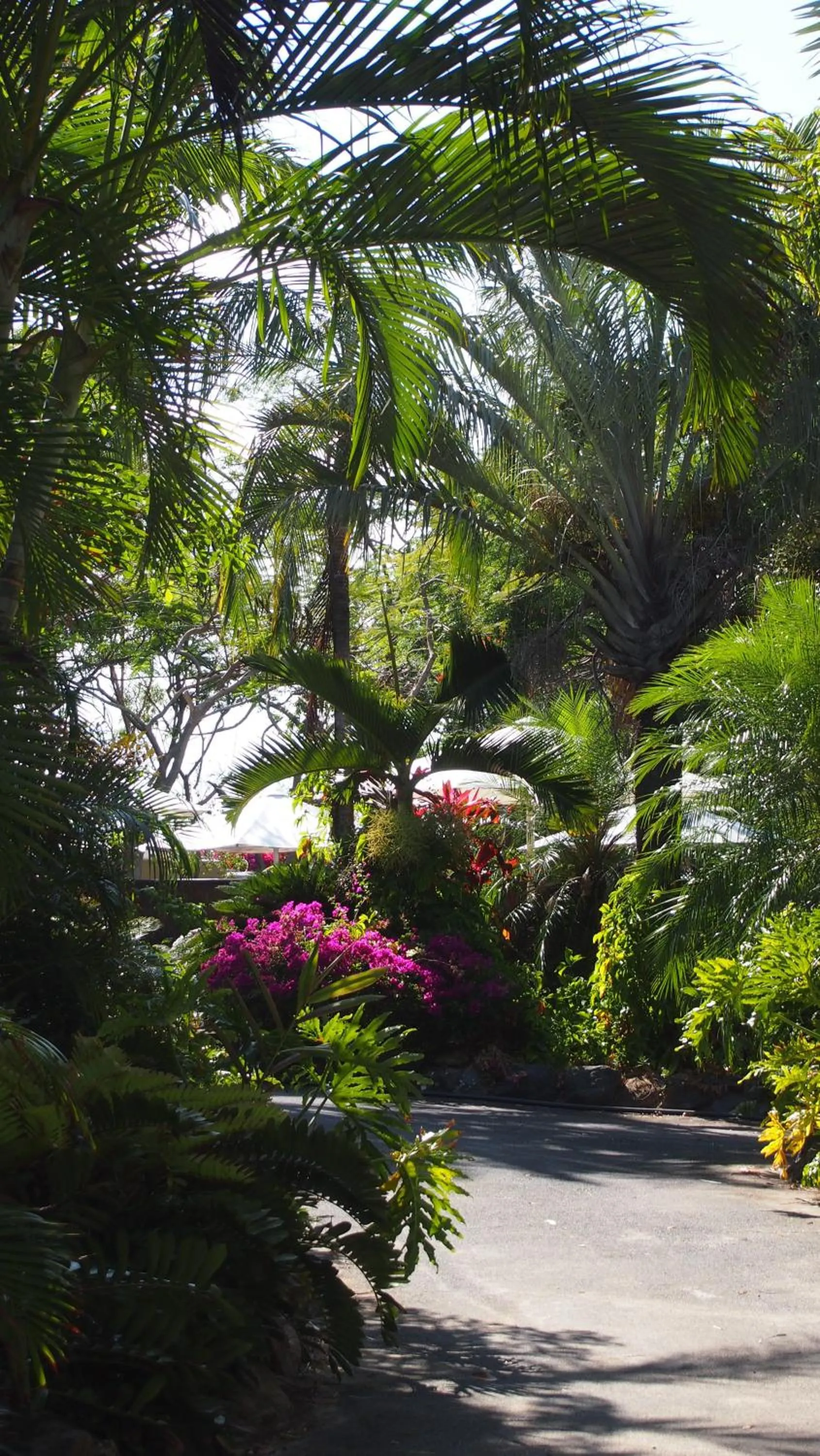 Day in Palm Bay Resort