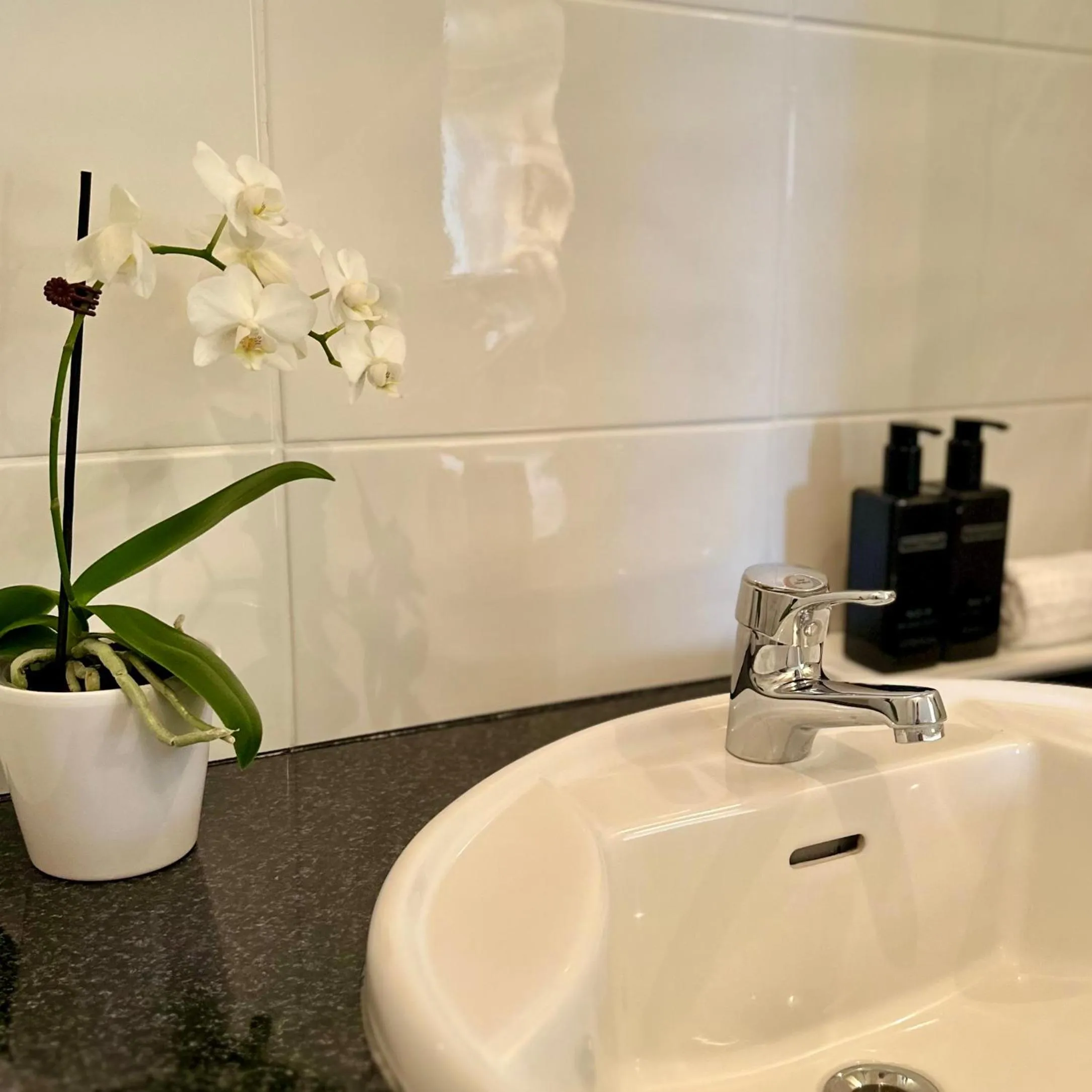 Bathroom in Emerald Inn on Takapuna Beach