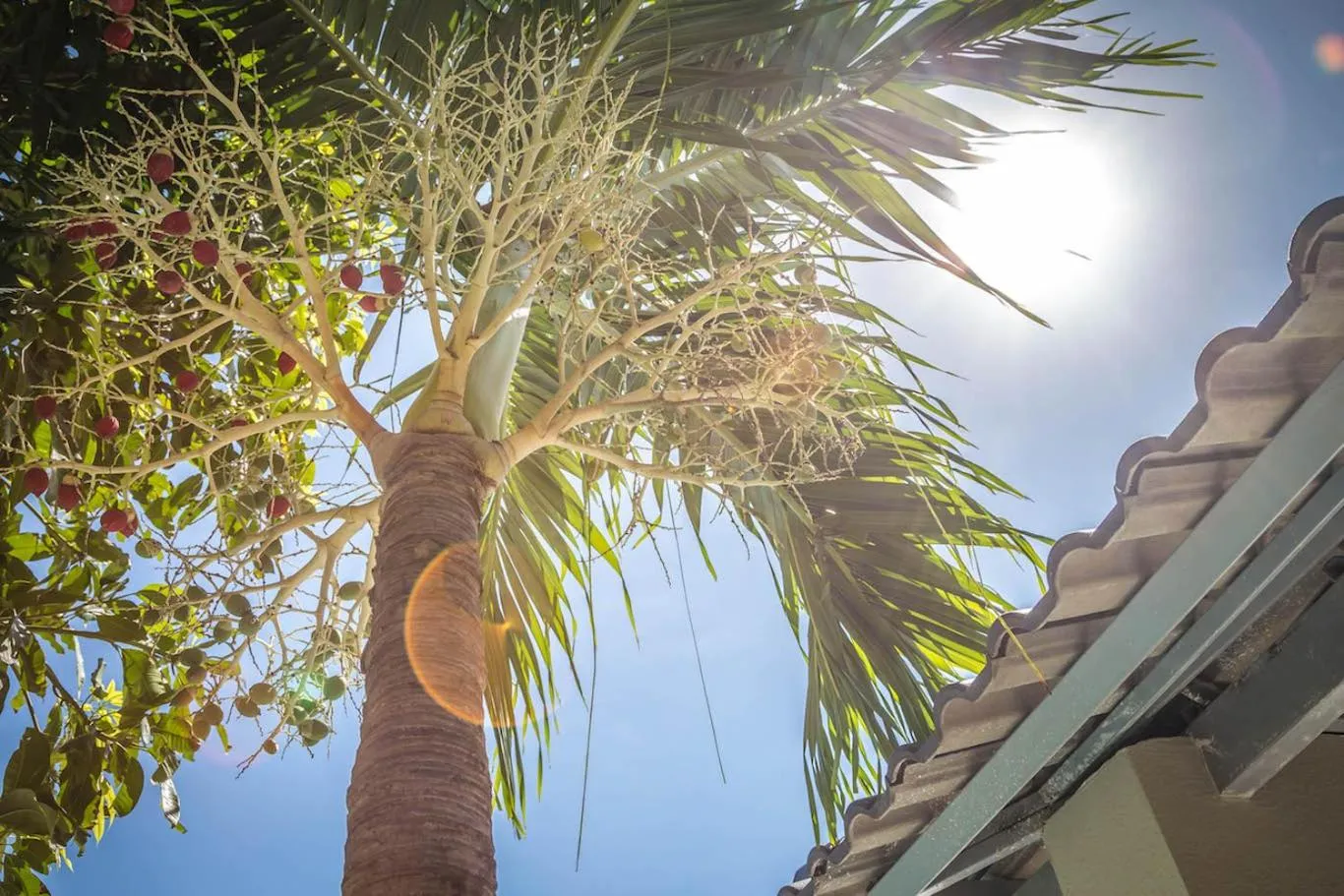 Pool view in Mui Ne Hills Villa Hotel