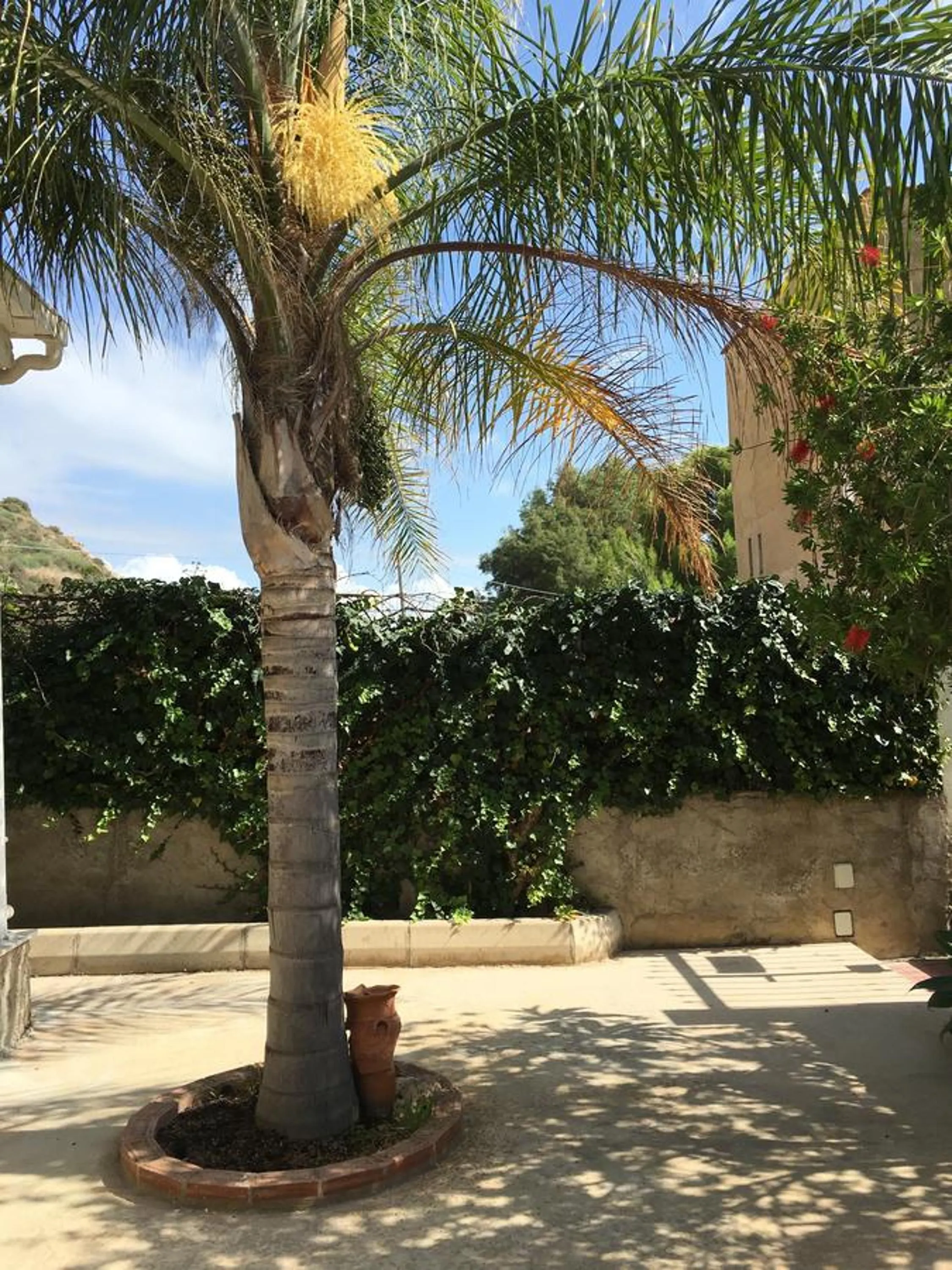 Garden in B&B Scala dei Turchi Beach