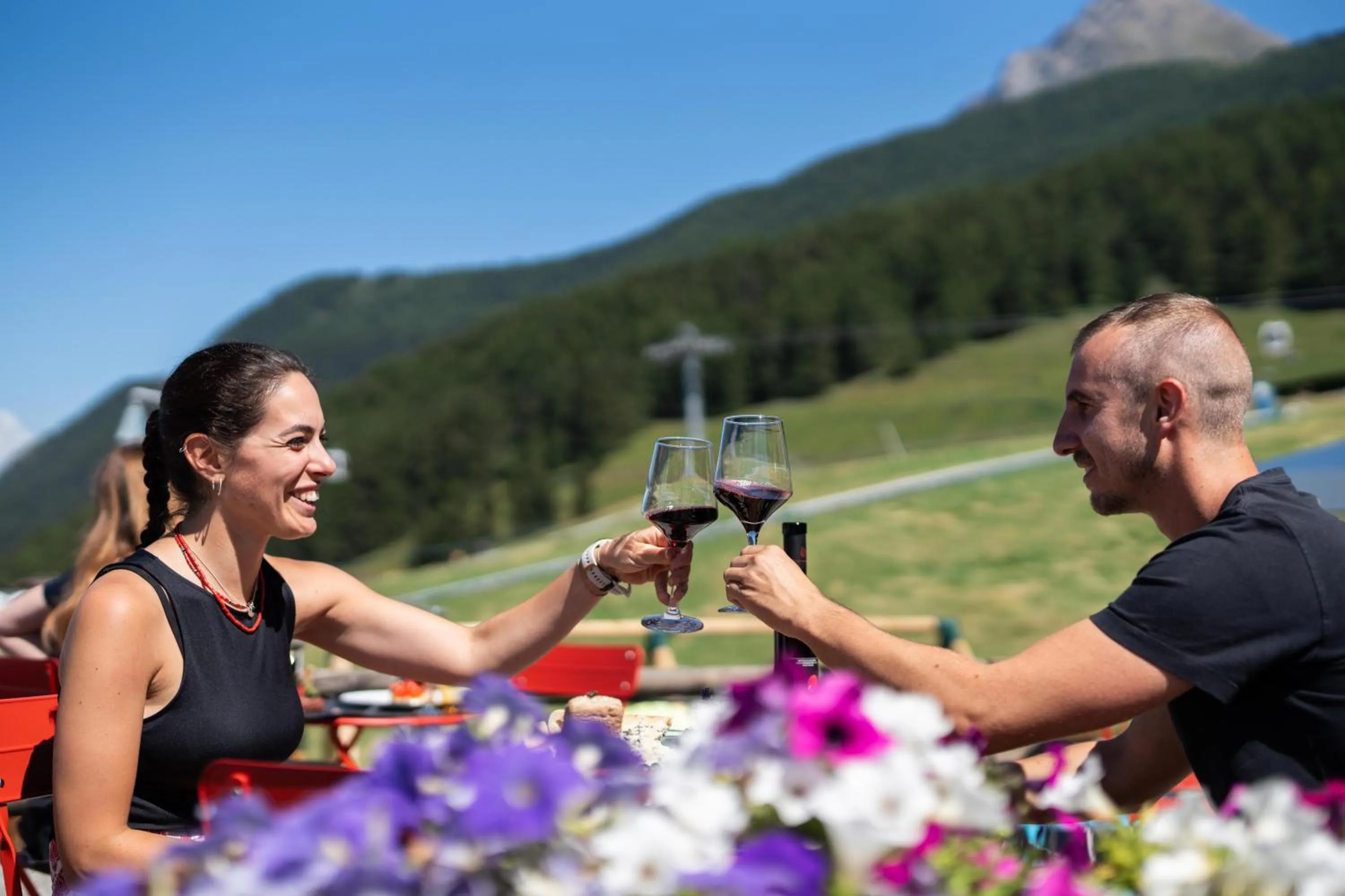 Day in CHALET DES ALPES