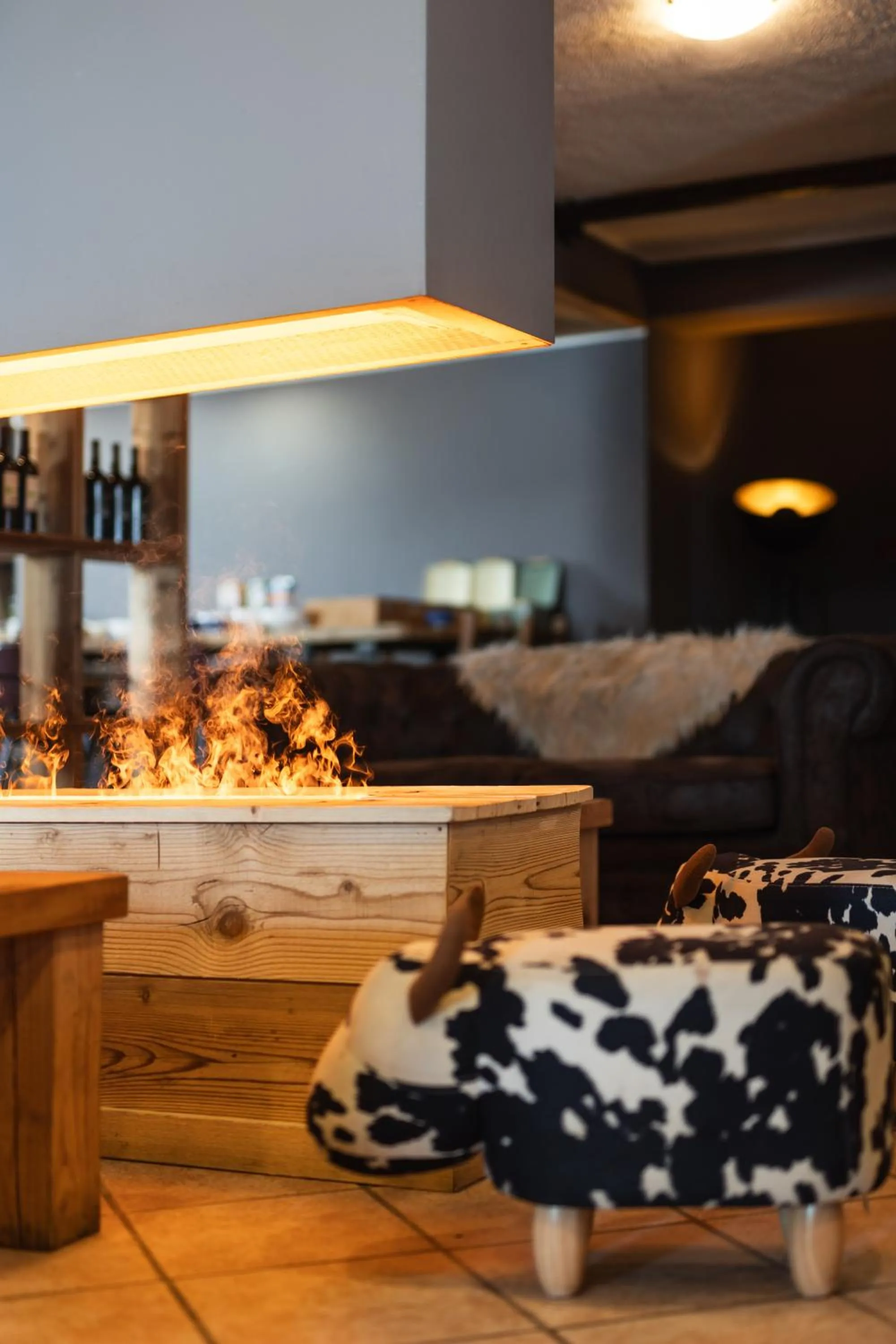 Living room in CHALET DES ALPES