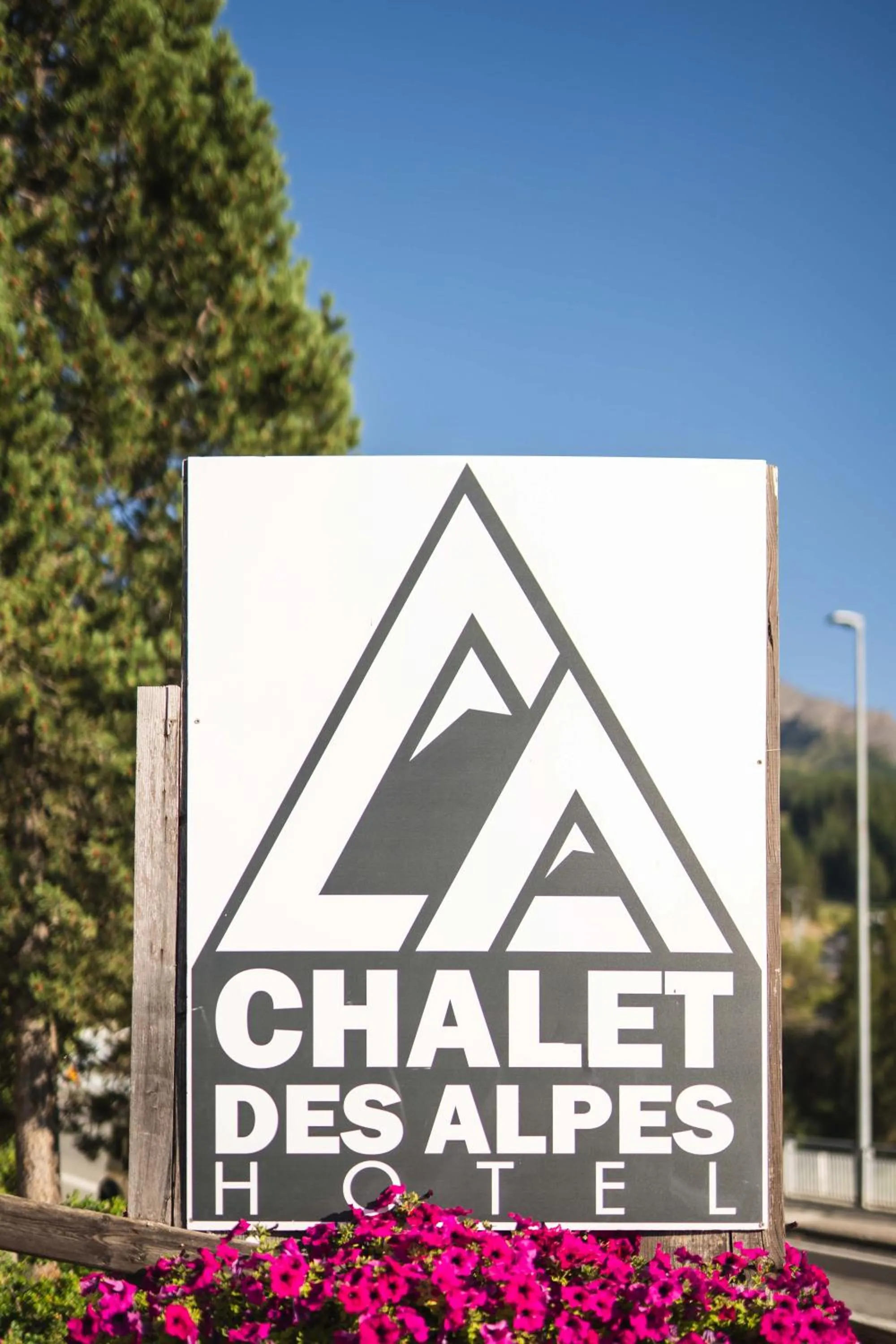 Property logo or sign in CHALET DES ALPES