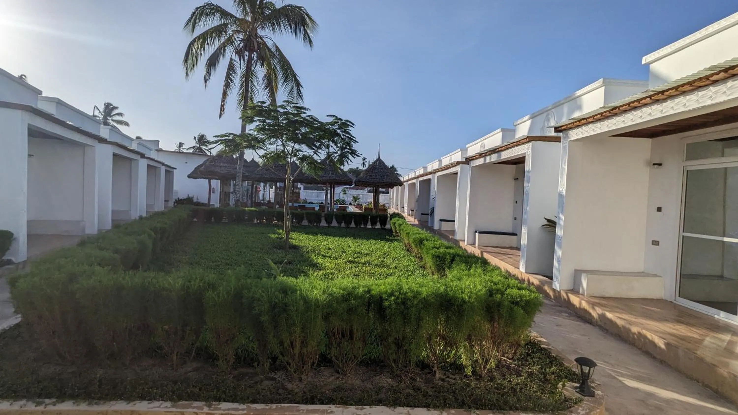 Garden in Mafia Dream Hotel