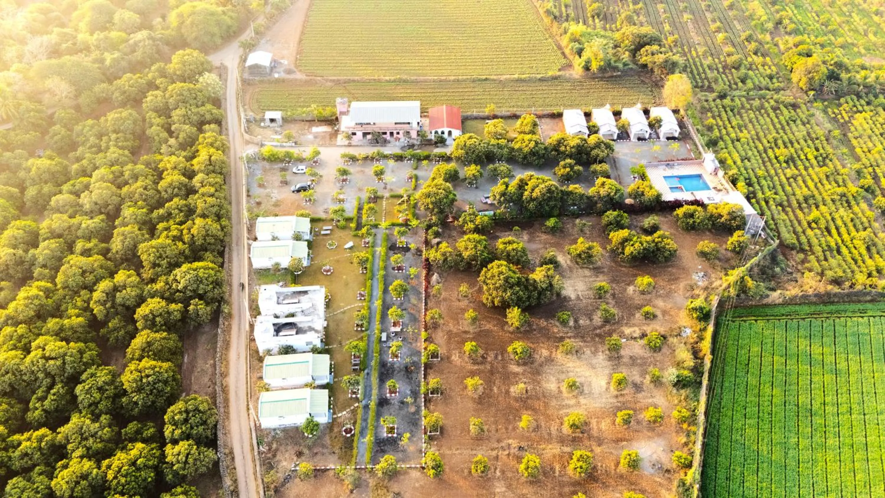 Natural landscape in AamraKunj Gir Resort