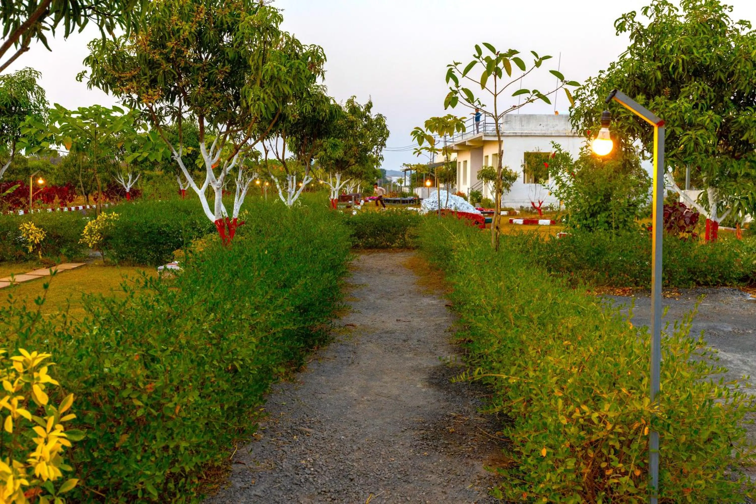 Spring in AamraKunj Gir Resort