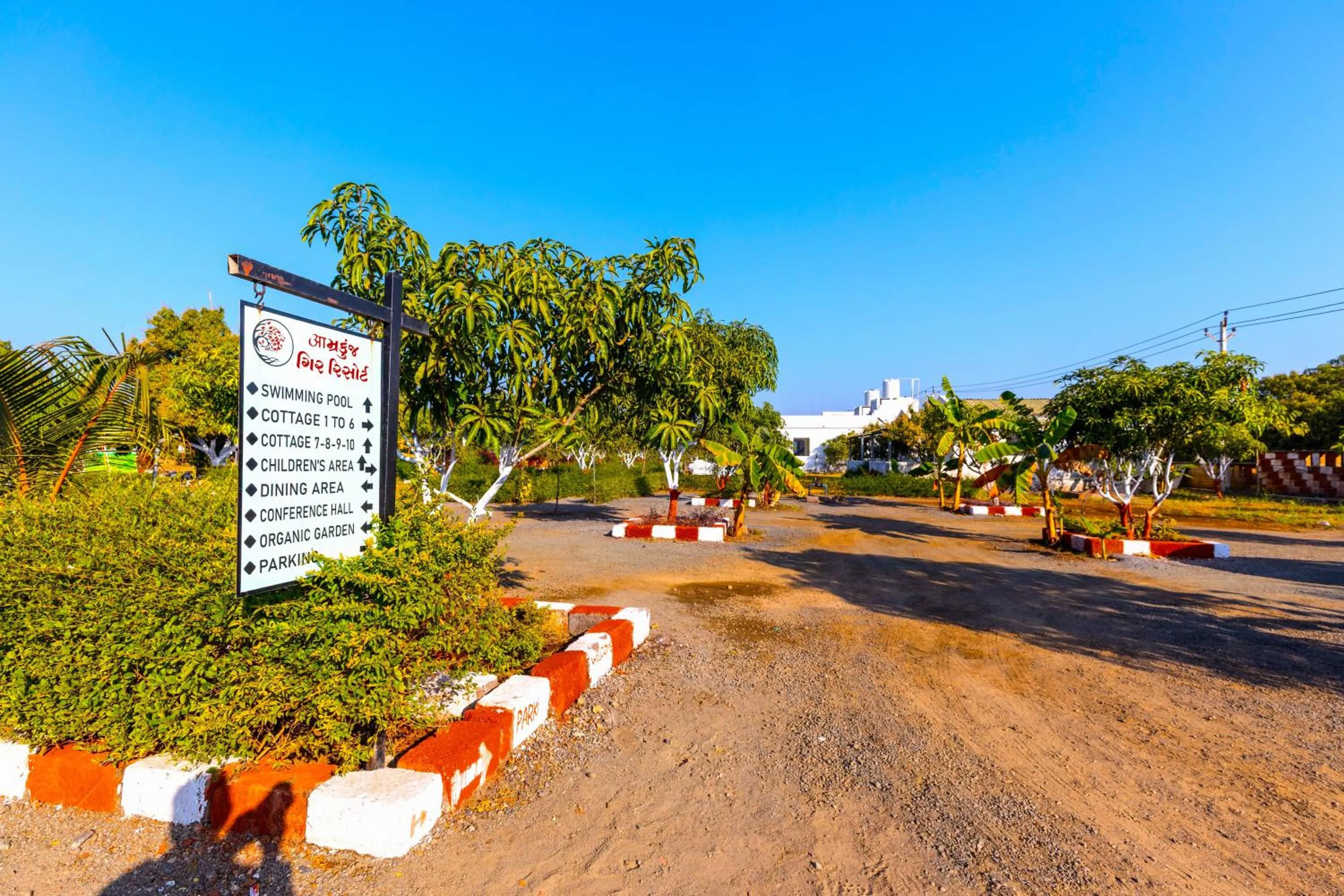 Day in AamraKunj Gir Resort