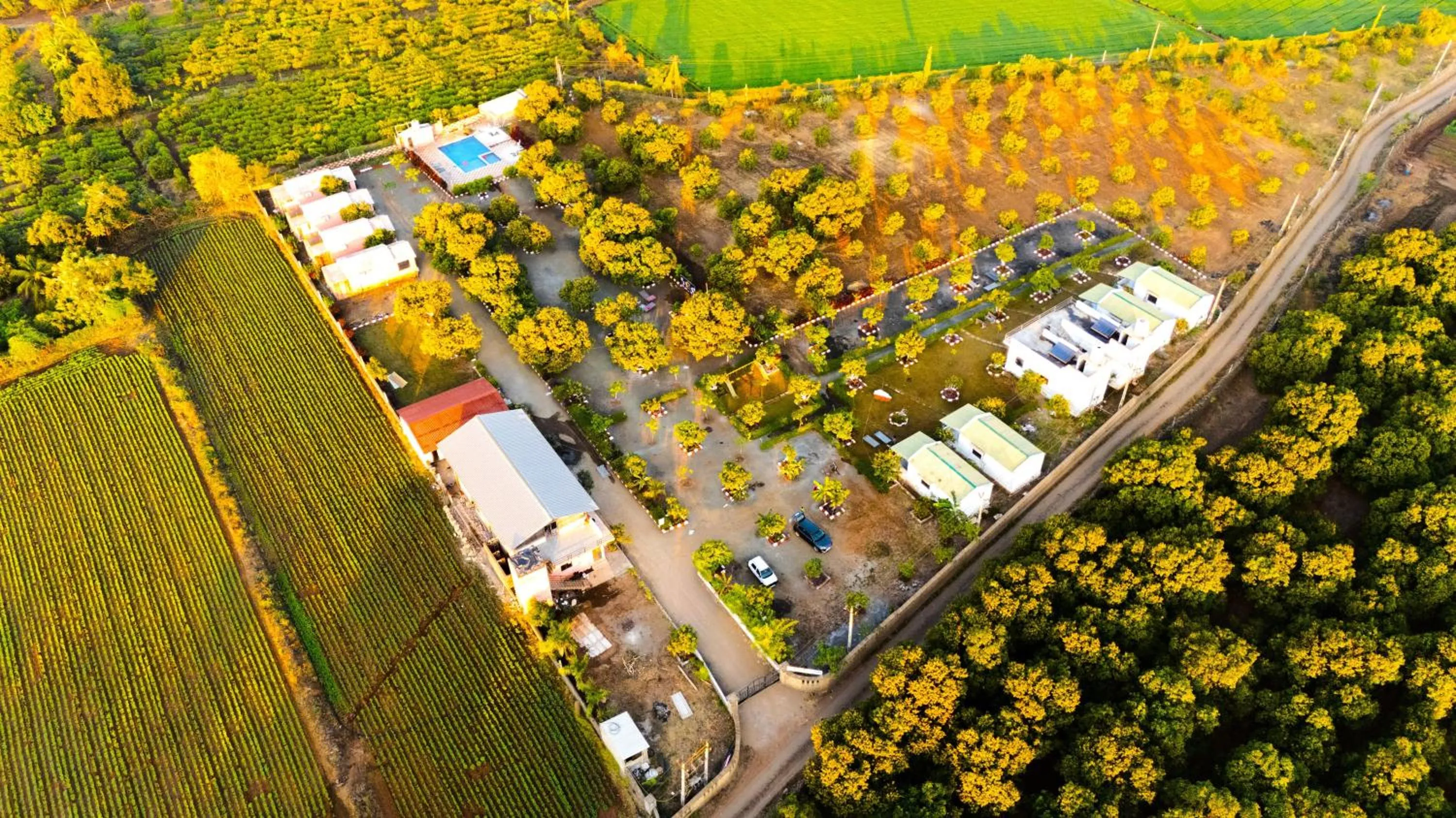 Spring in AamraKunj Gir Resort