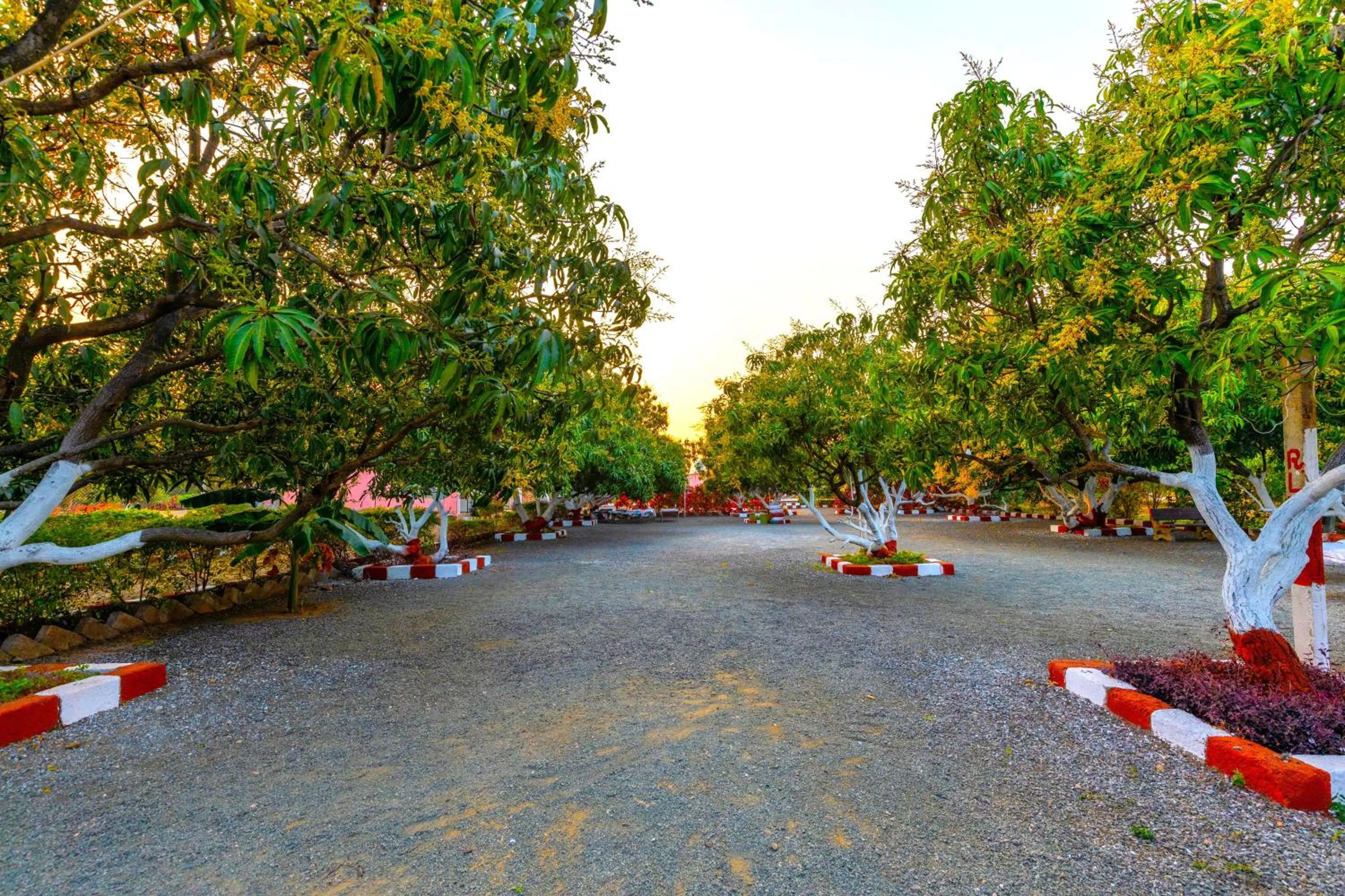 Natural landscape in AamraKunj Gir Resort