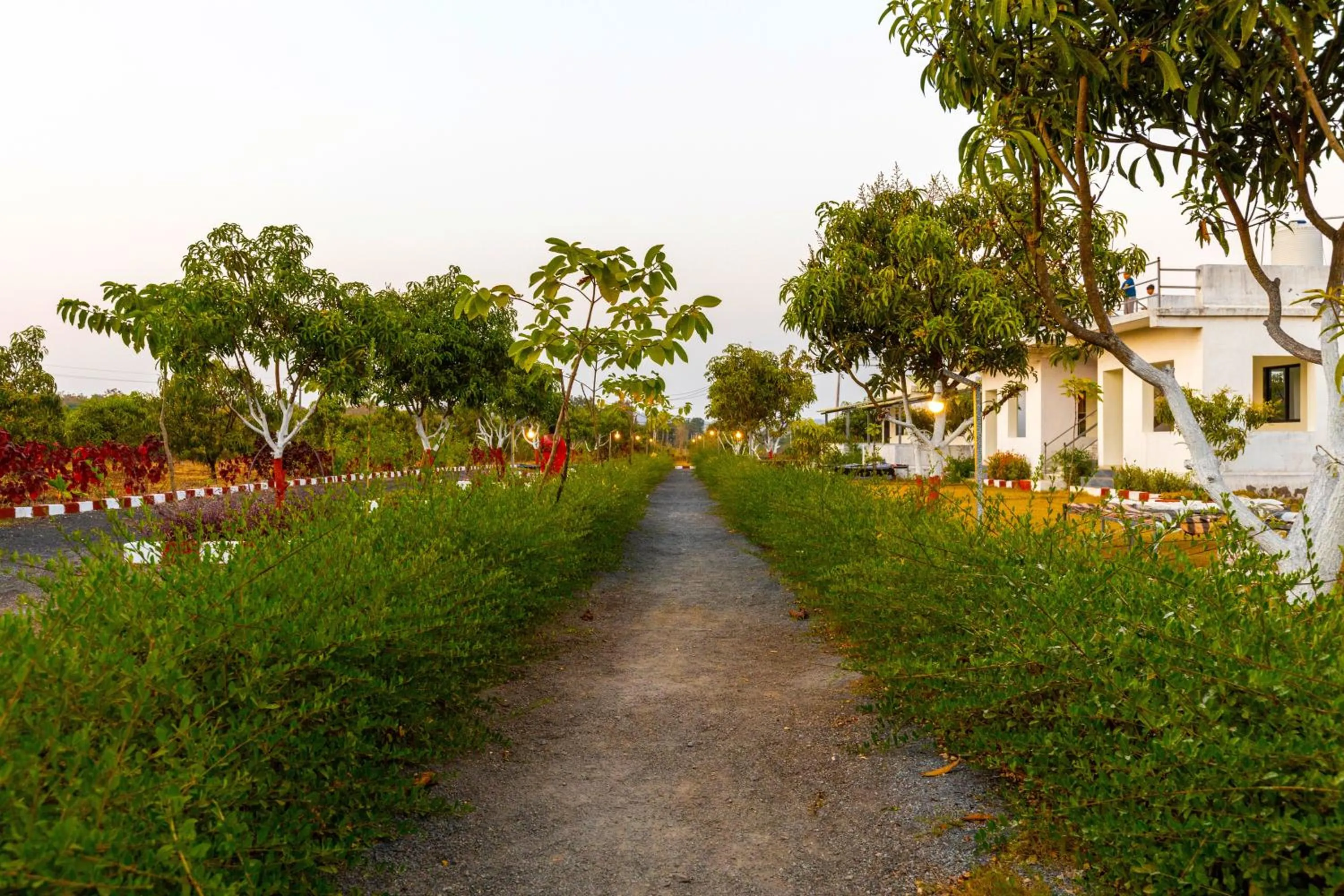 Spring in AamraKunj Gir Resort