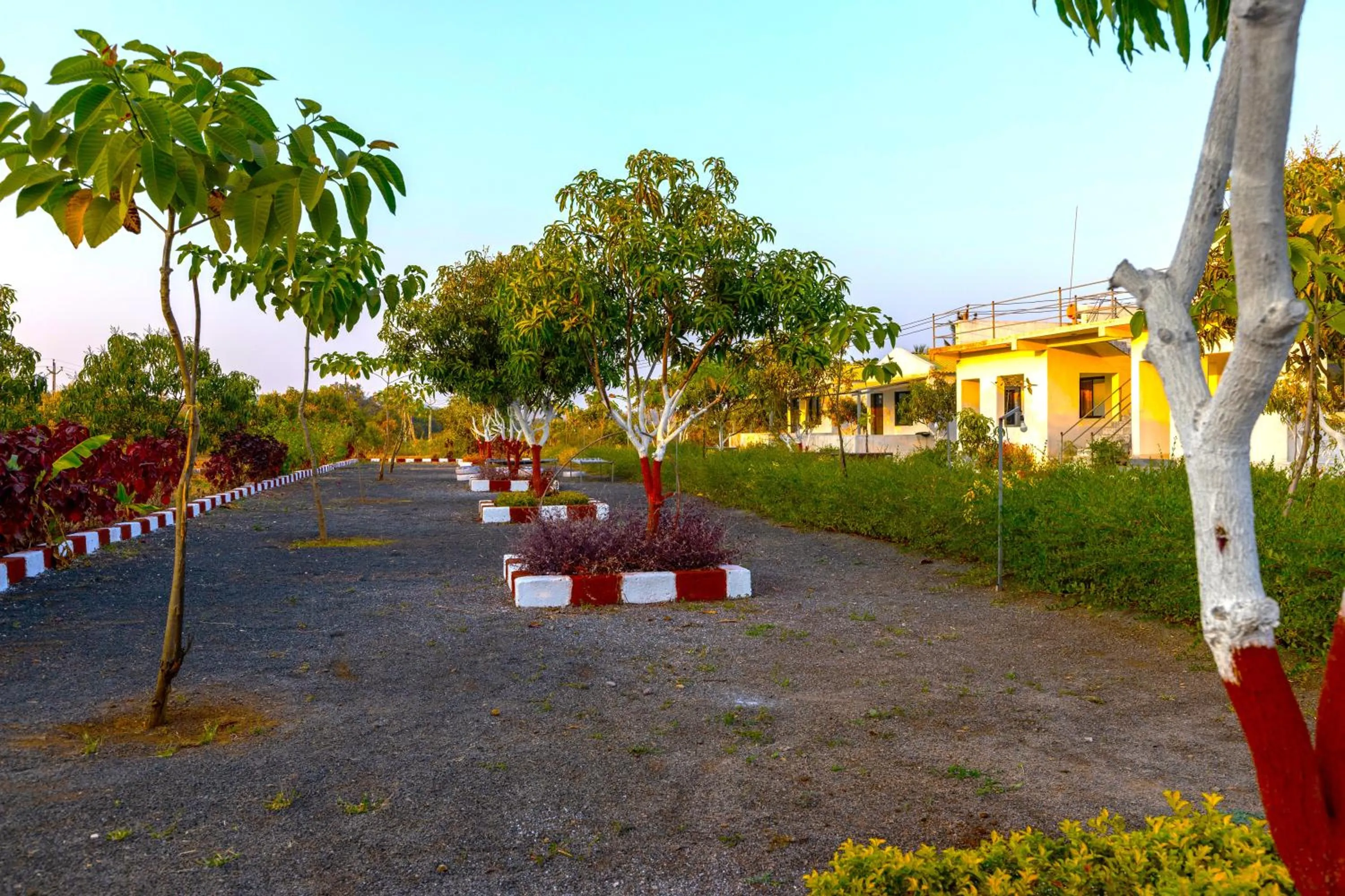 Natural landscape in AamraKunj Gir Resort