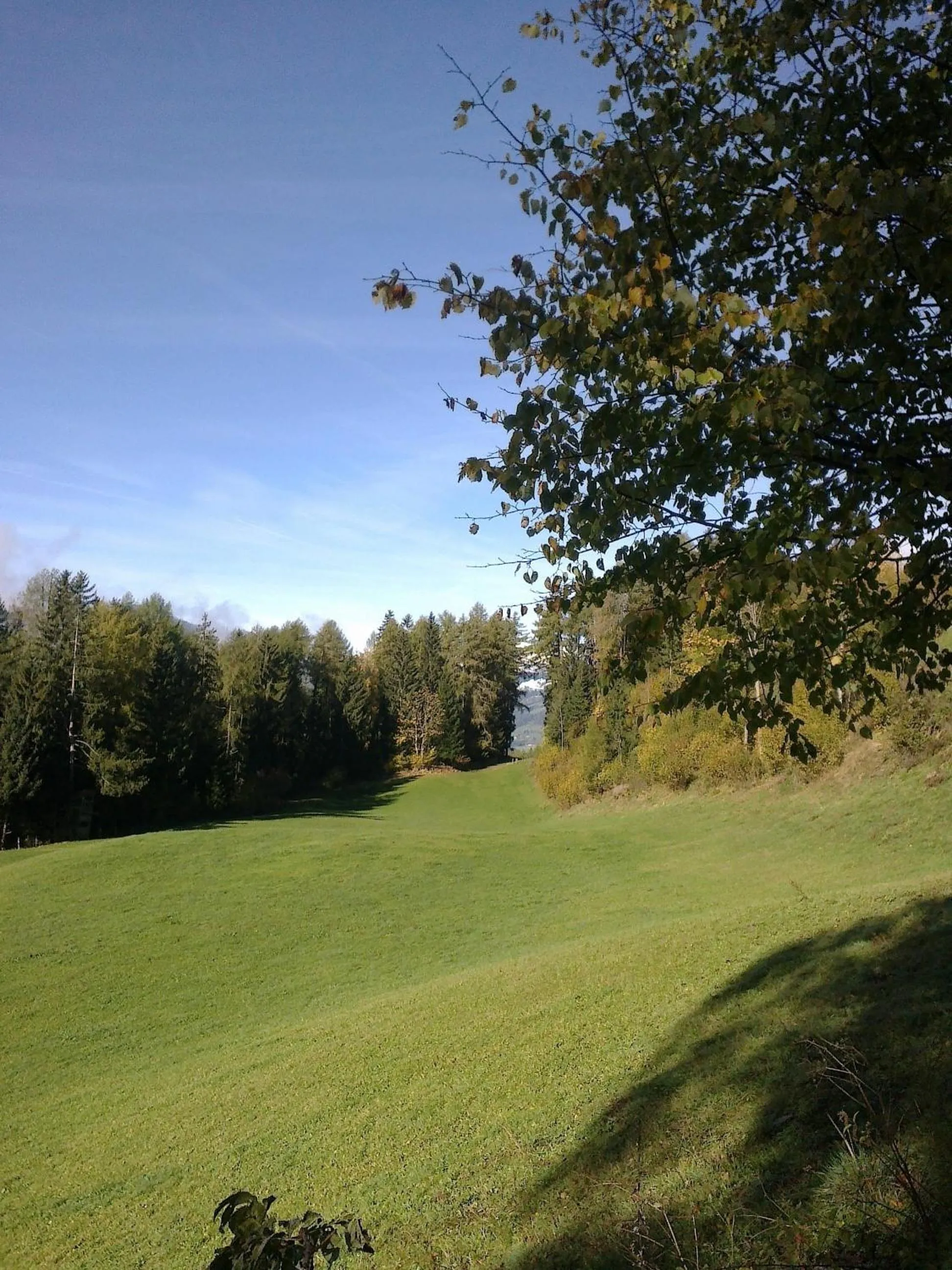 Area and facilities in Hotel Käferhube