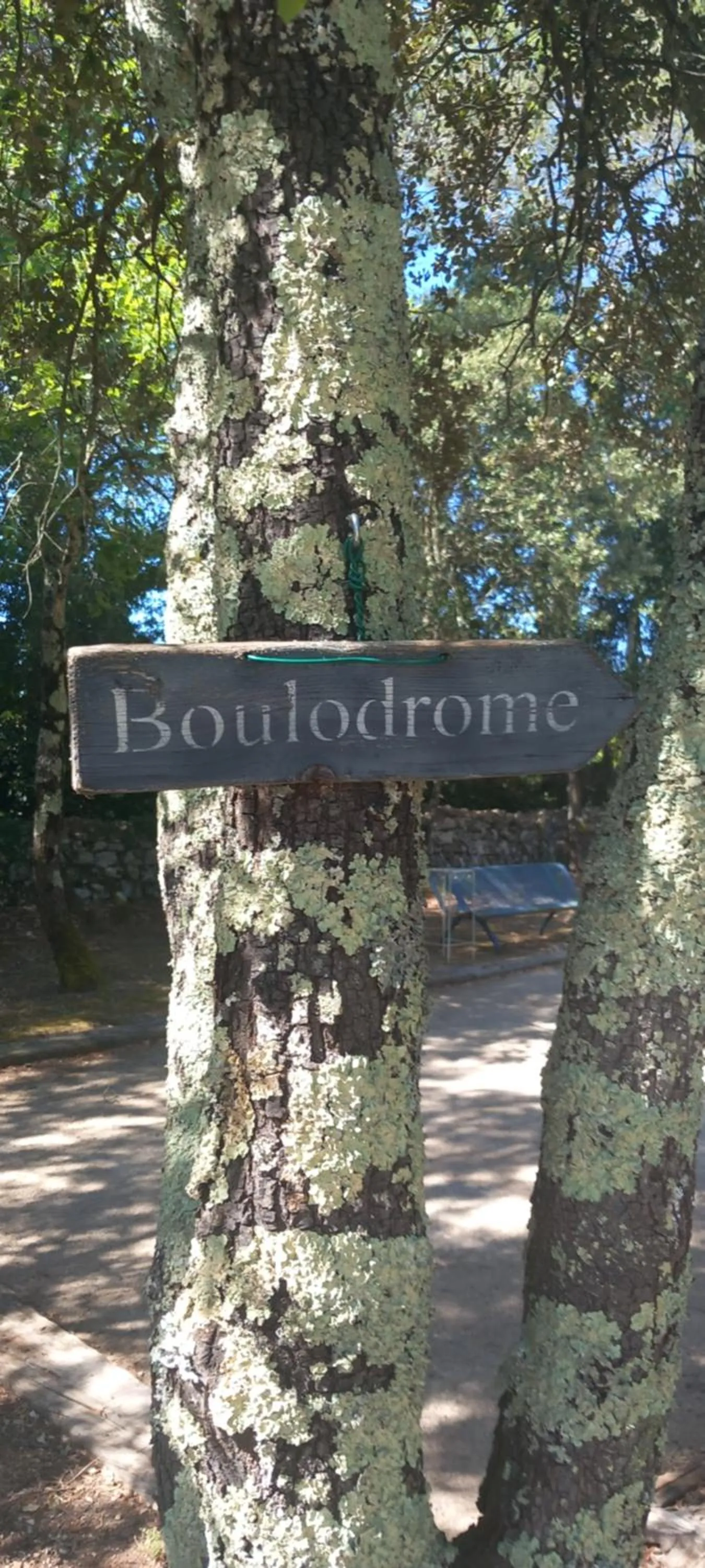 Garden in Maprovencale