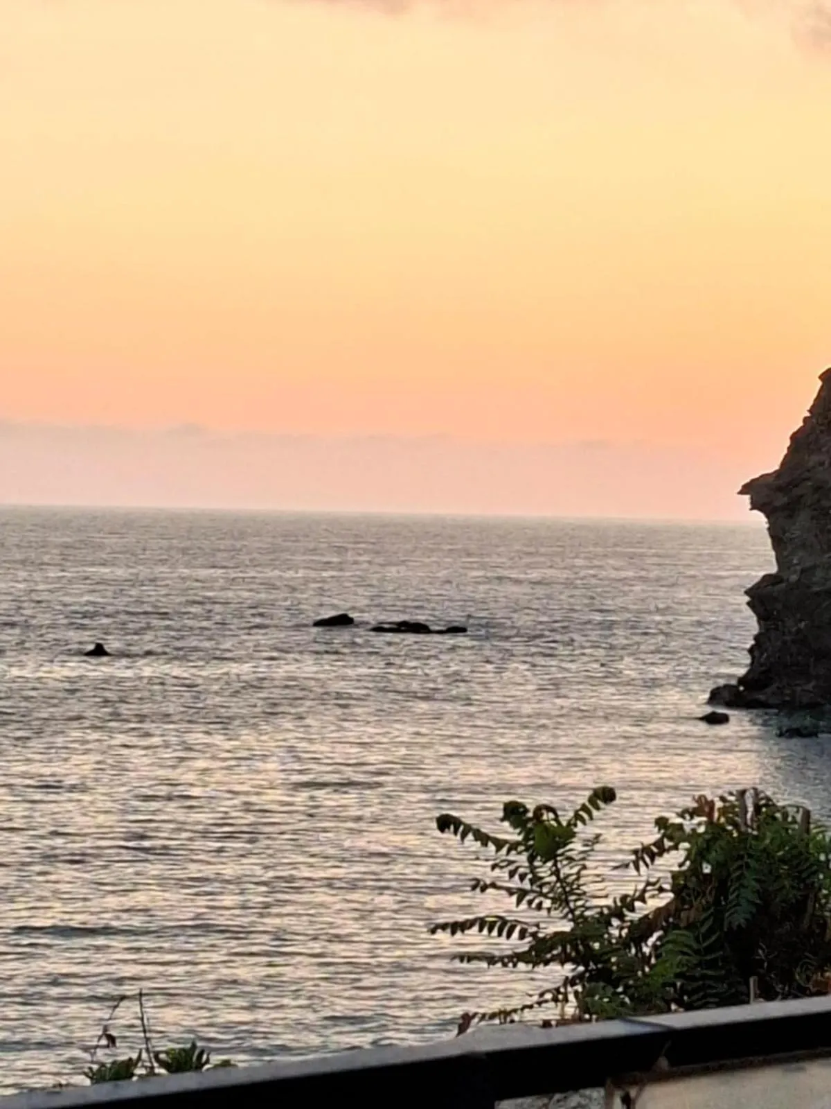 Hotel Ristorante Mareblu