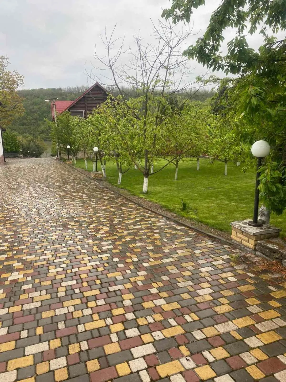 Garden in Hetman Hotel