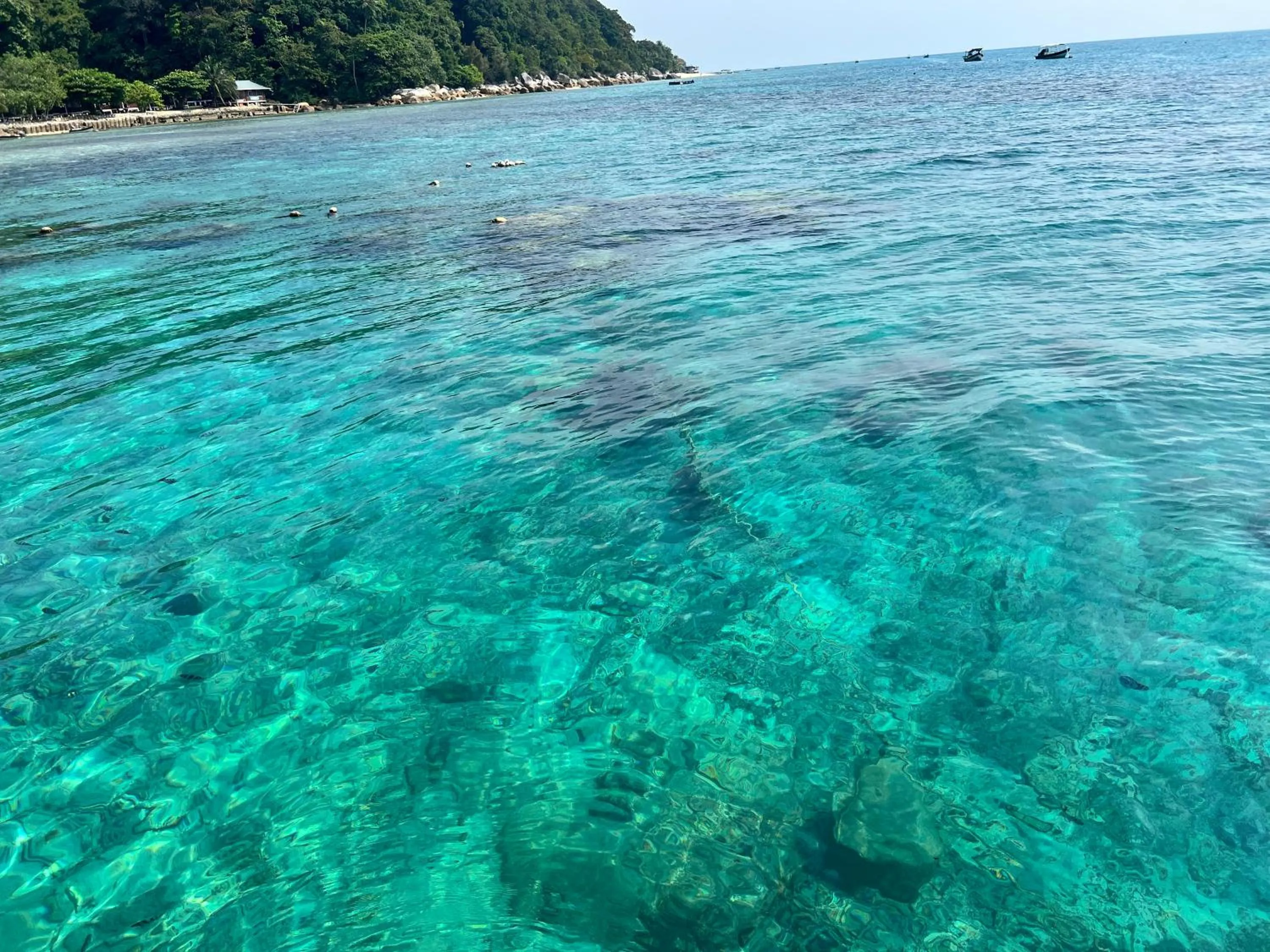 Snorkeling in Mama's Chalet Pulau Perhentian Besar