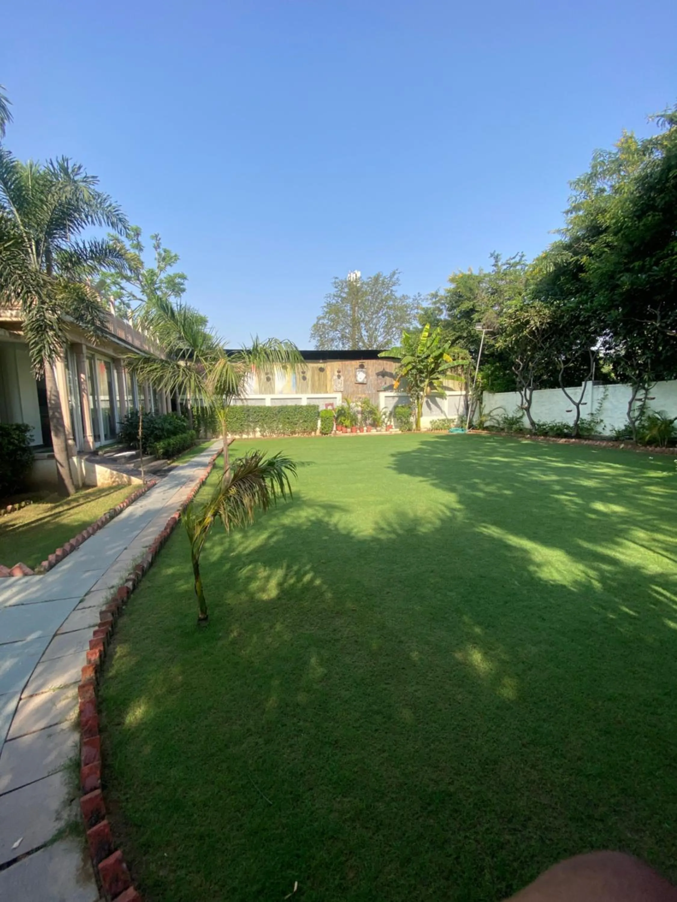 Natural landscape in Hotel Cedar