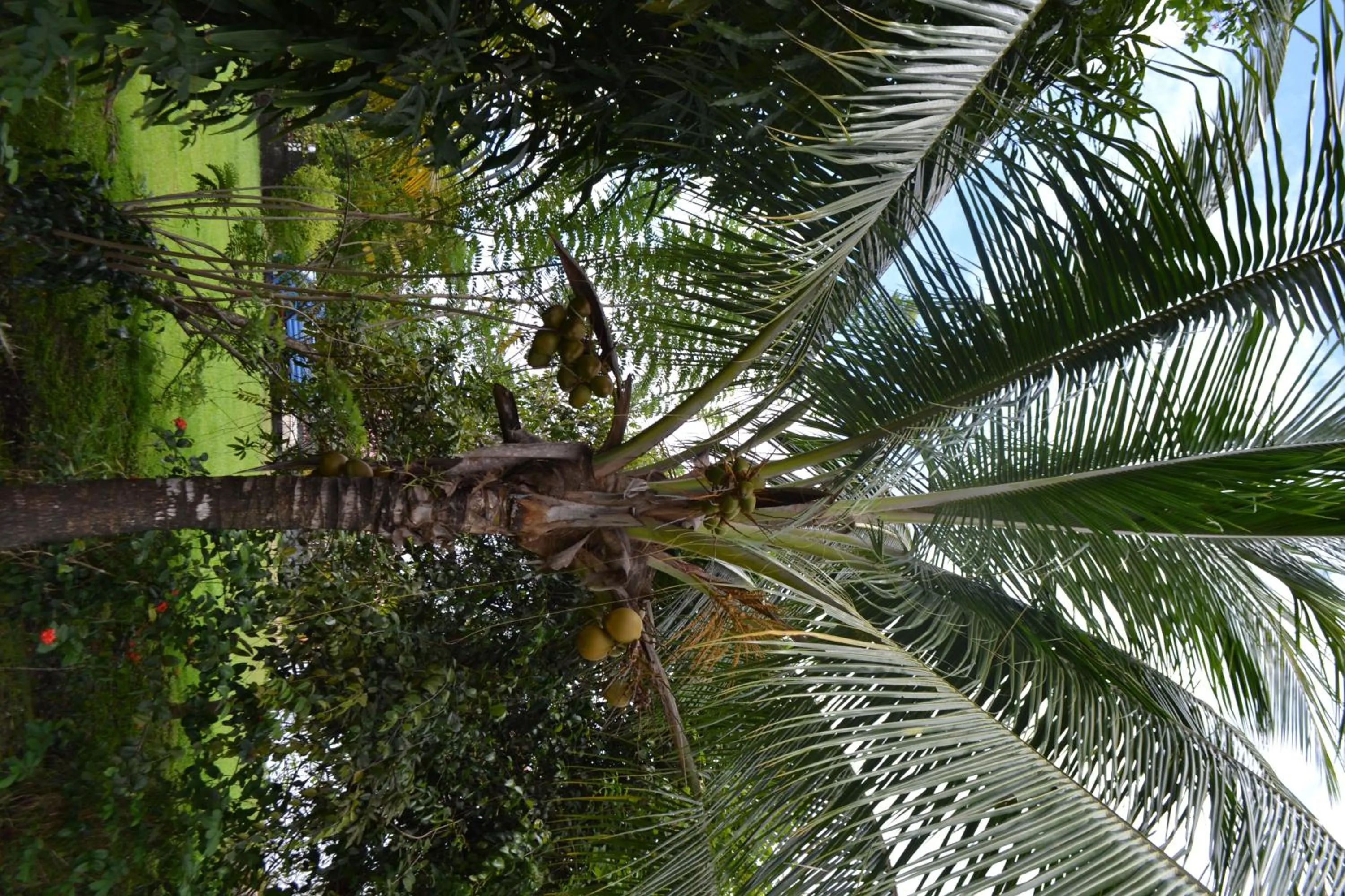 Day in Hotel La Marmotte