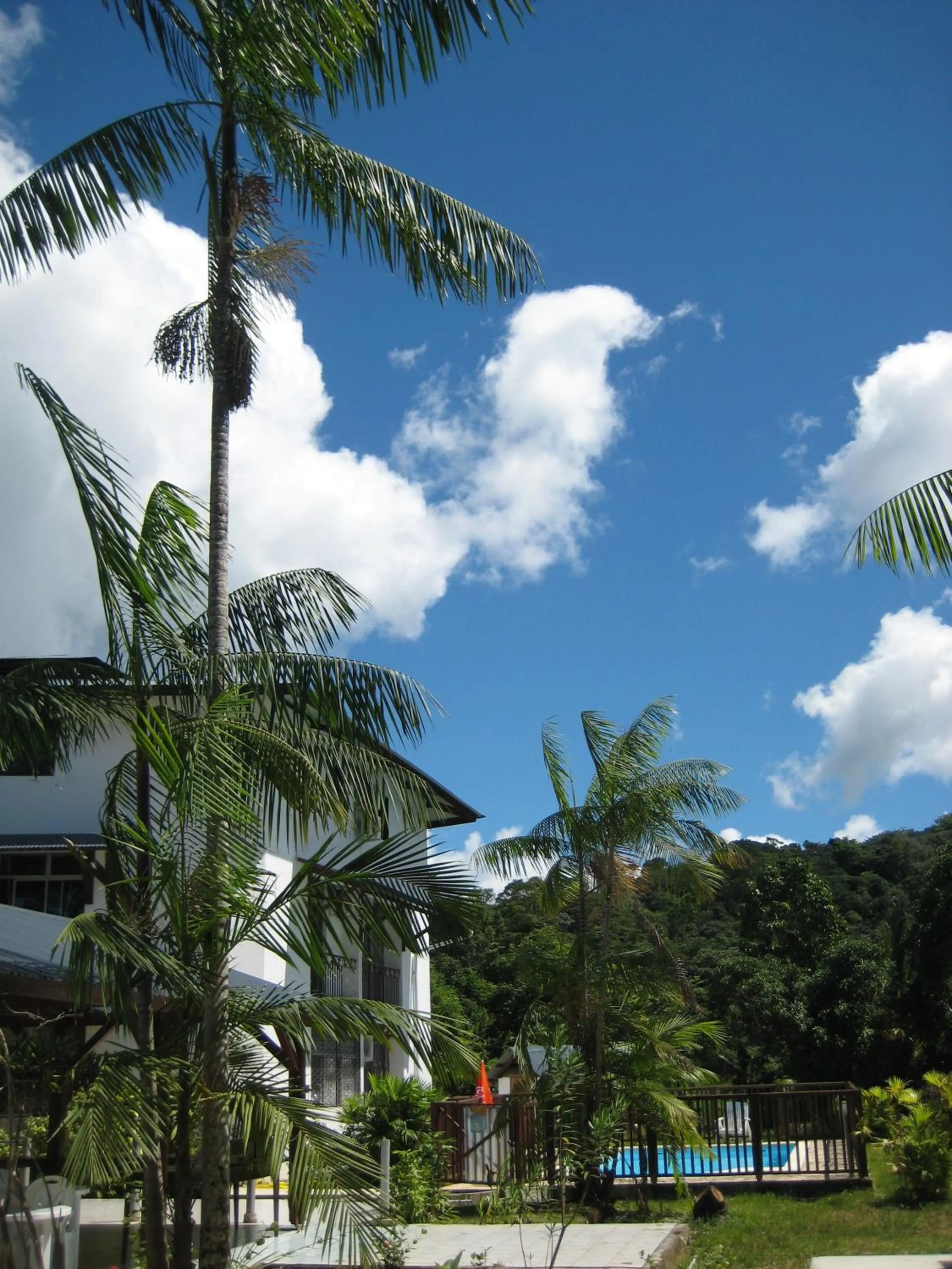 Swimming pool in Hotel La Marmotte