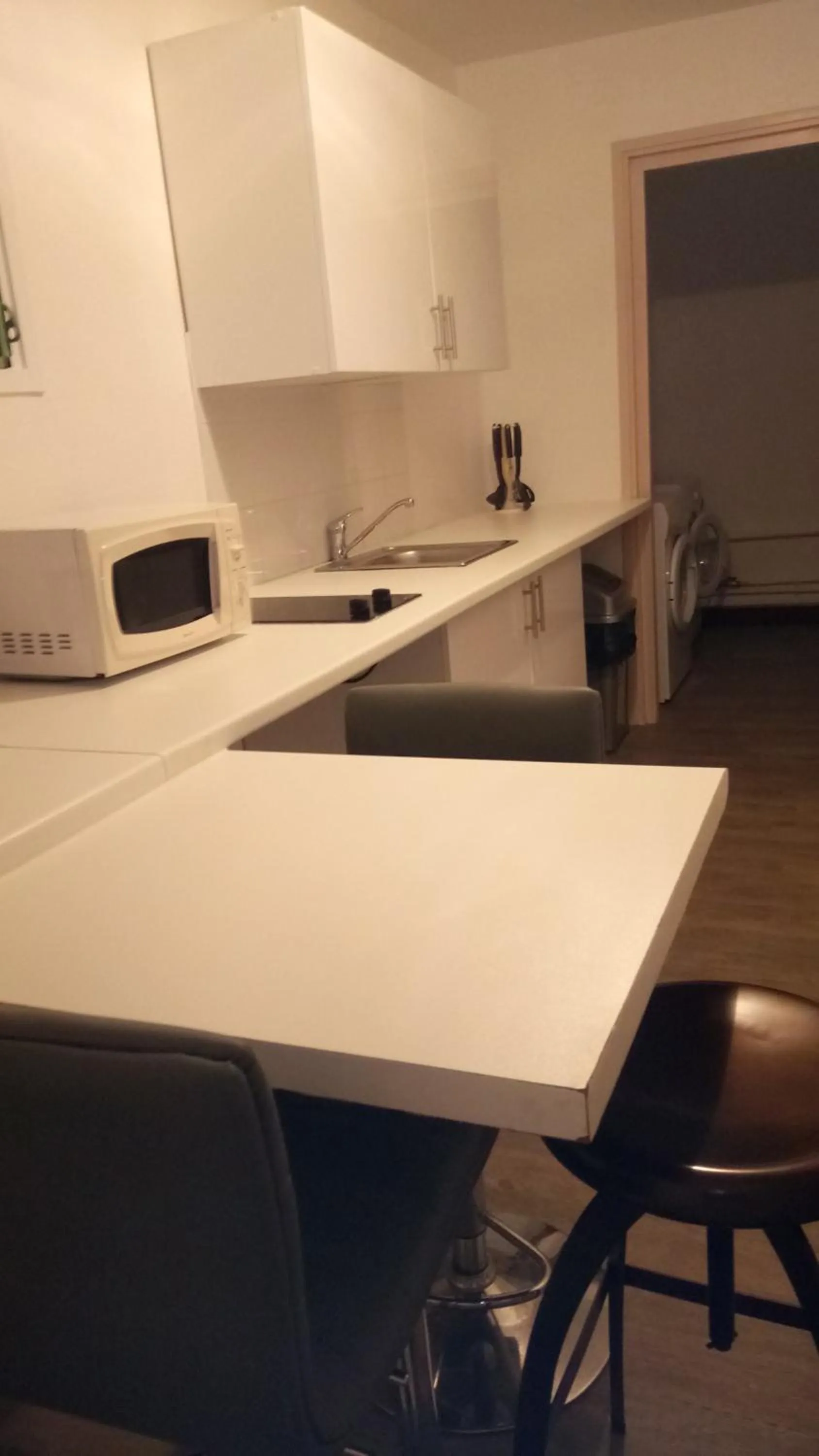 Kitchen or kitchenette in Hotel Atlantis