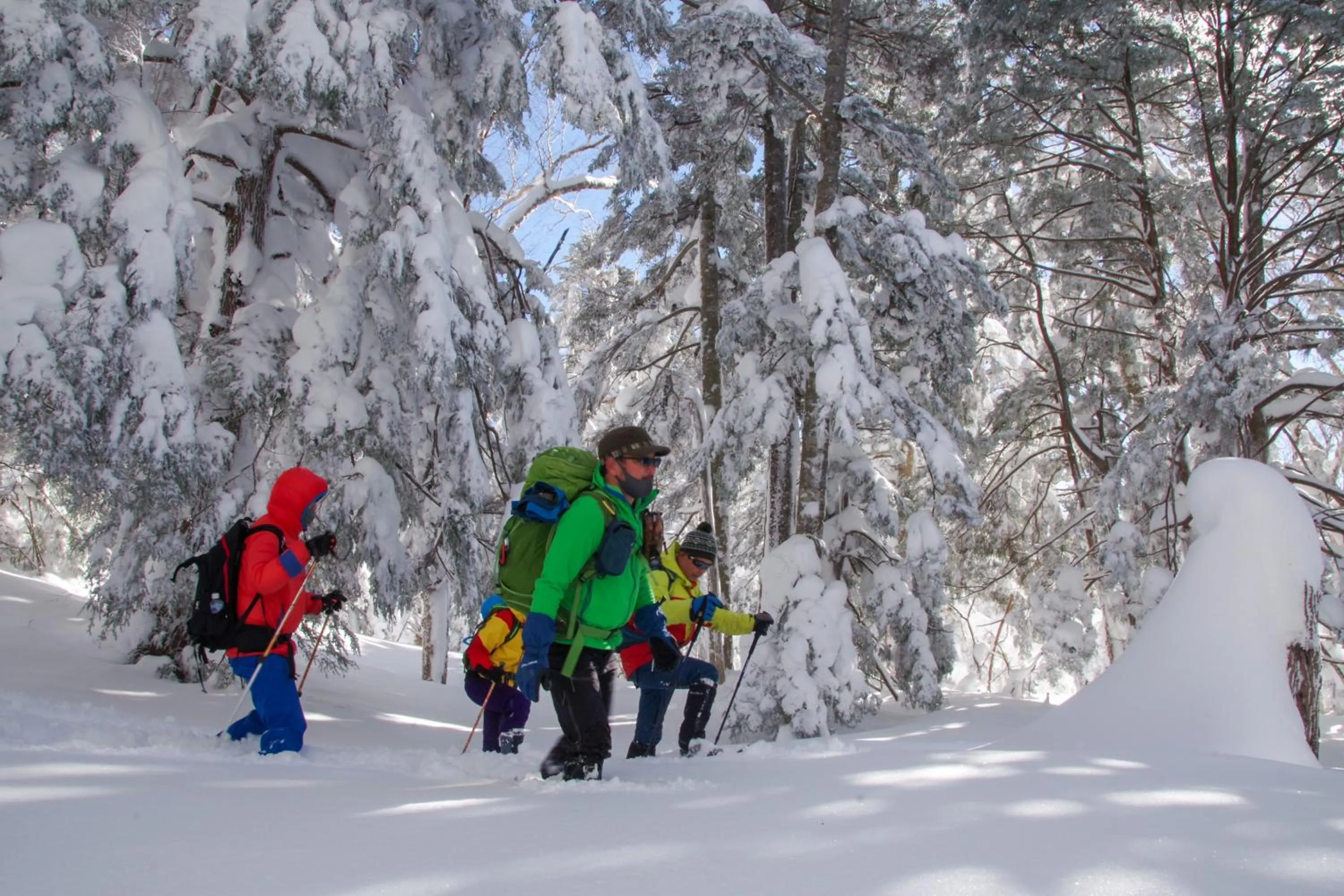 Natural landscape in Manza Prince Hotel