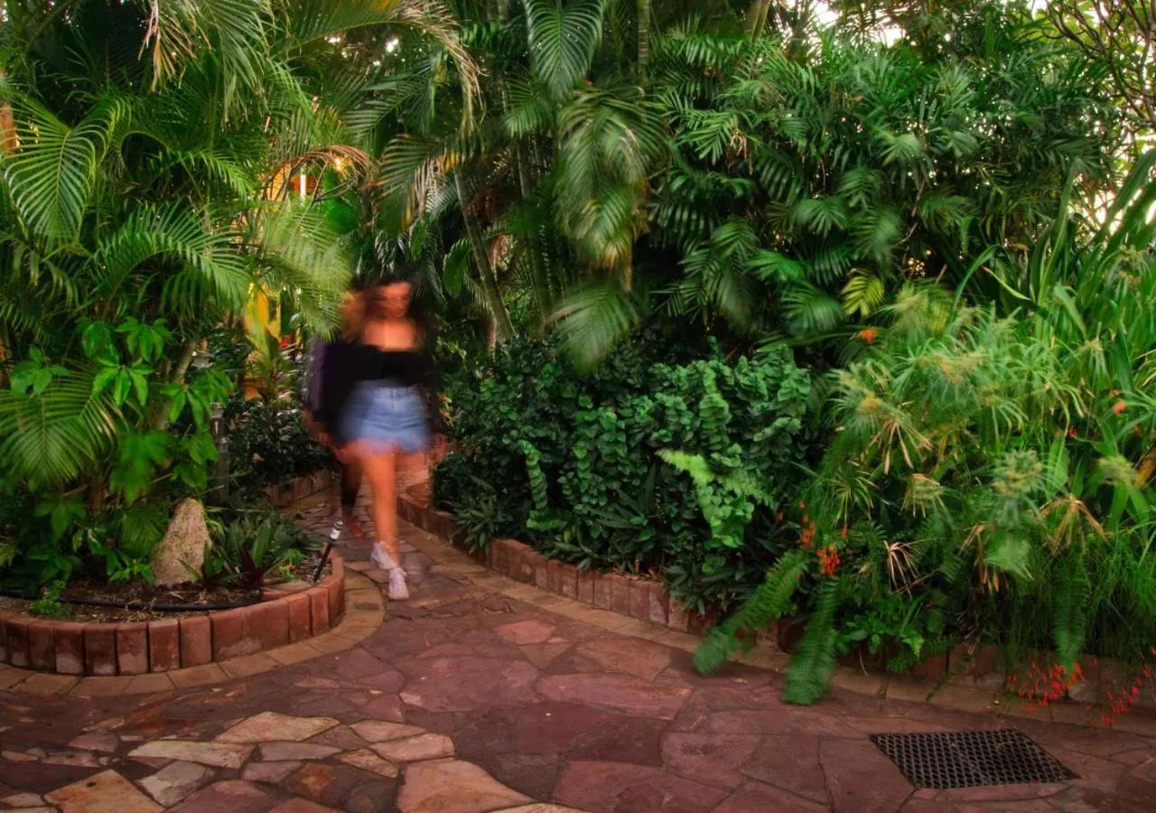 Garden in Kimberley Croc Motel