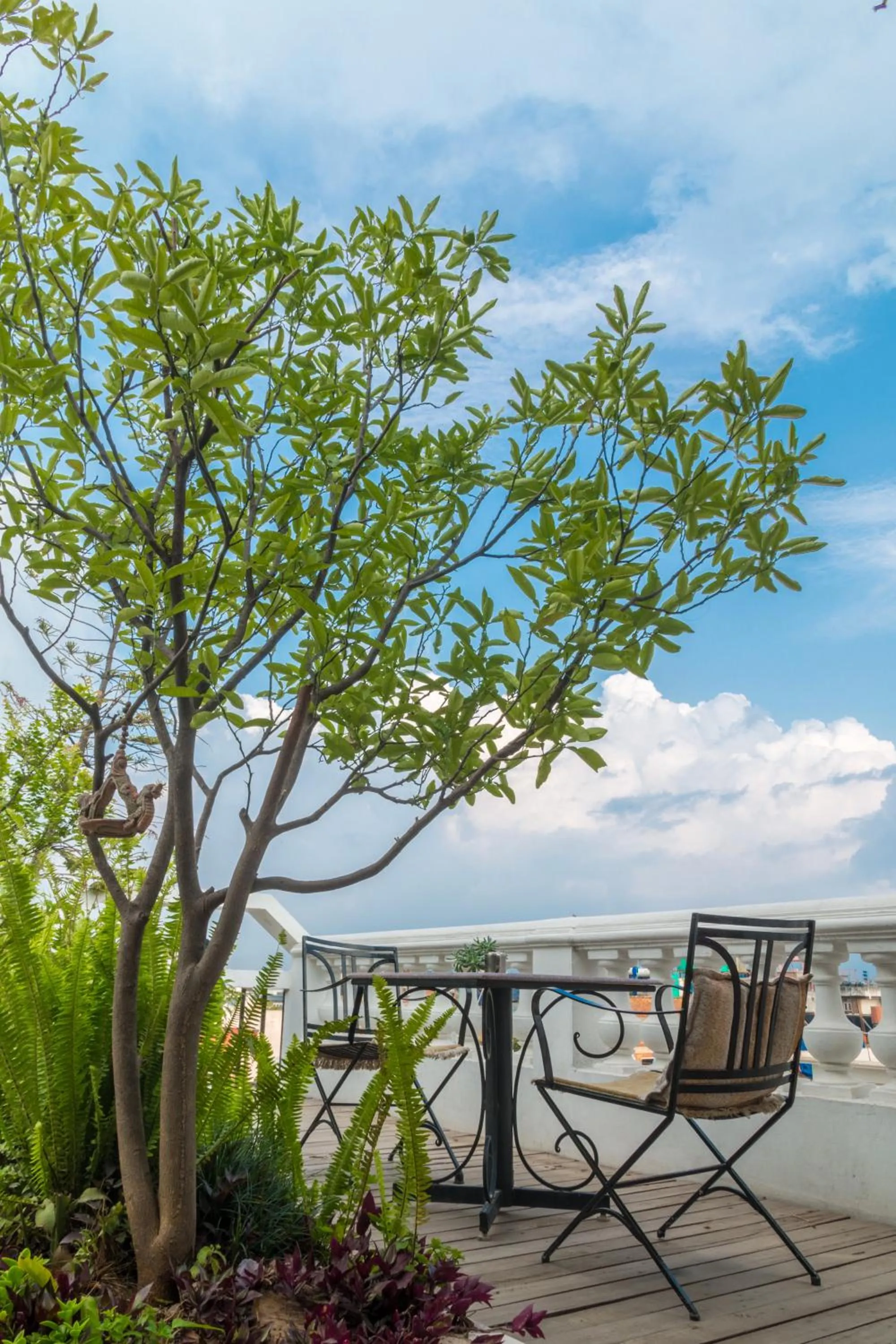 Property building in Hotel Excelsior