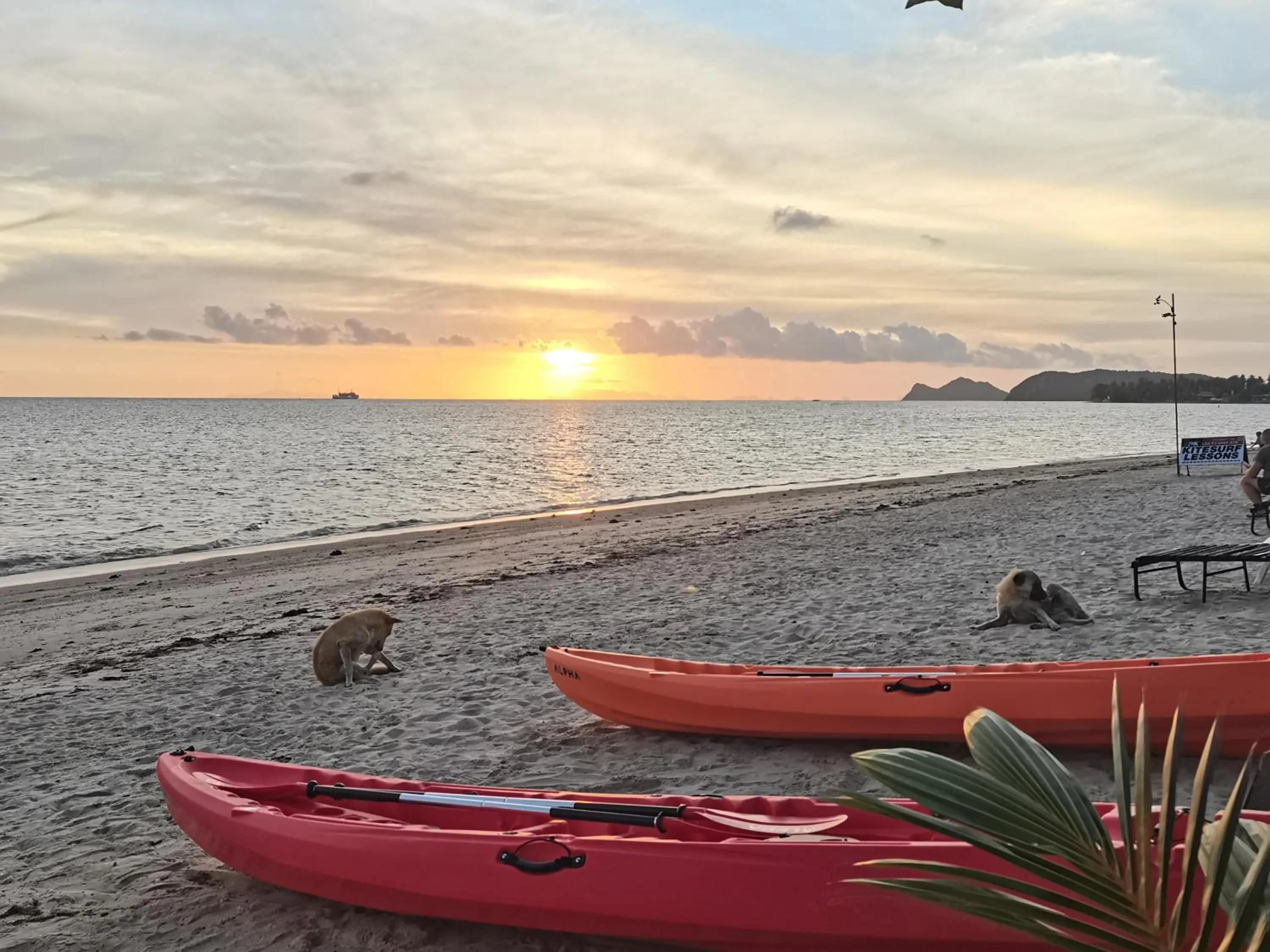 Activities in The Relax Resort