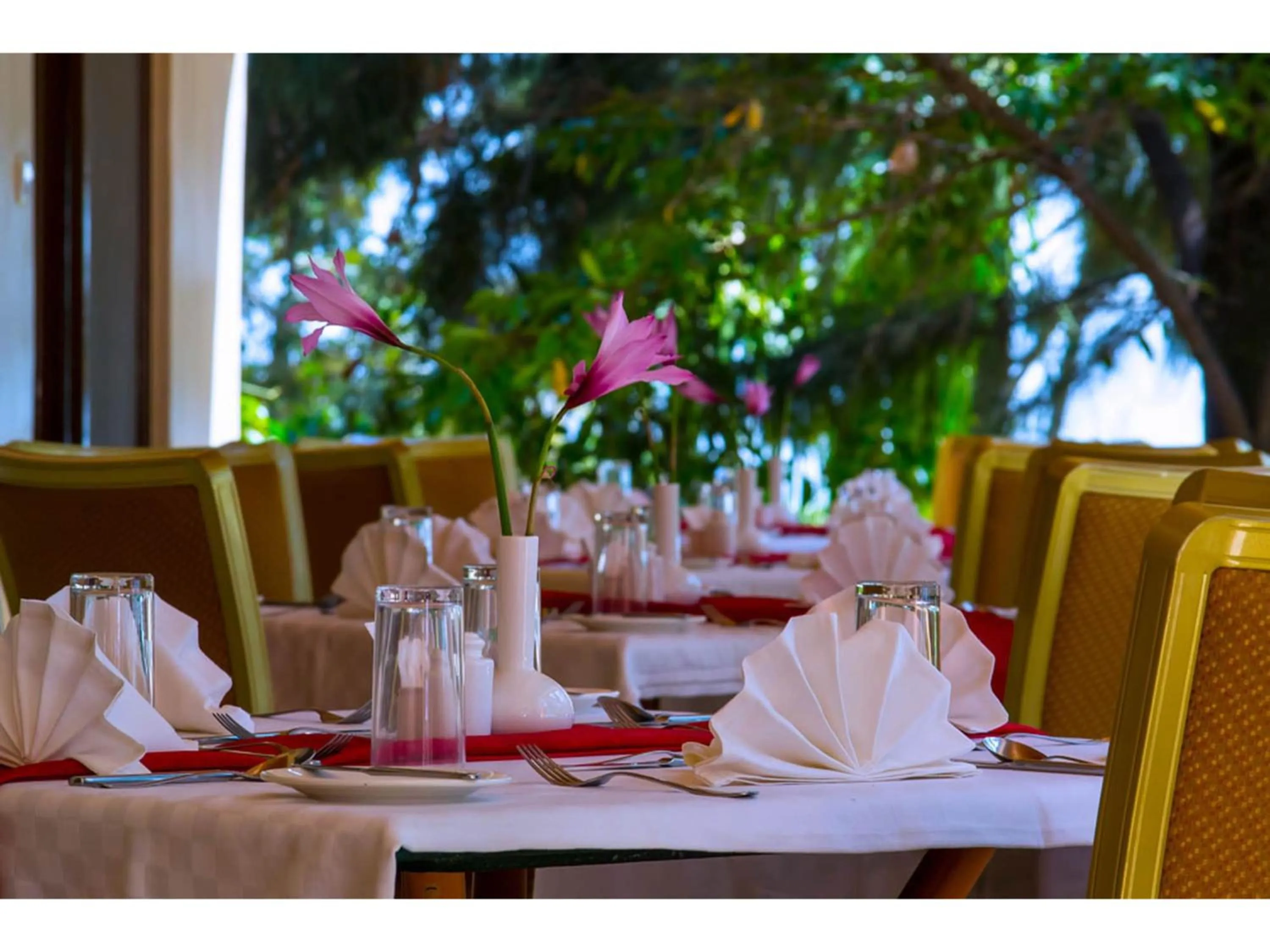 Restaurant/places to eat in Wigot Gardens Hotel