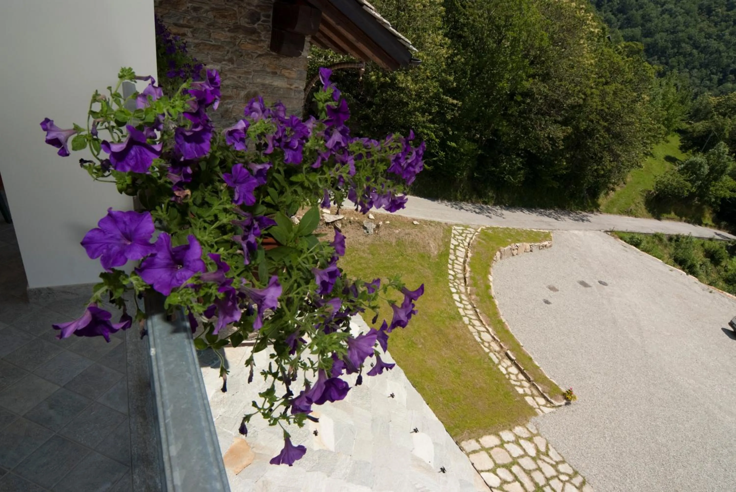 Garden in Il Falco E La Volpe