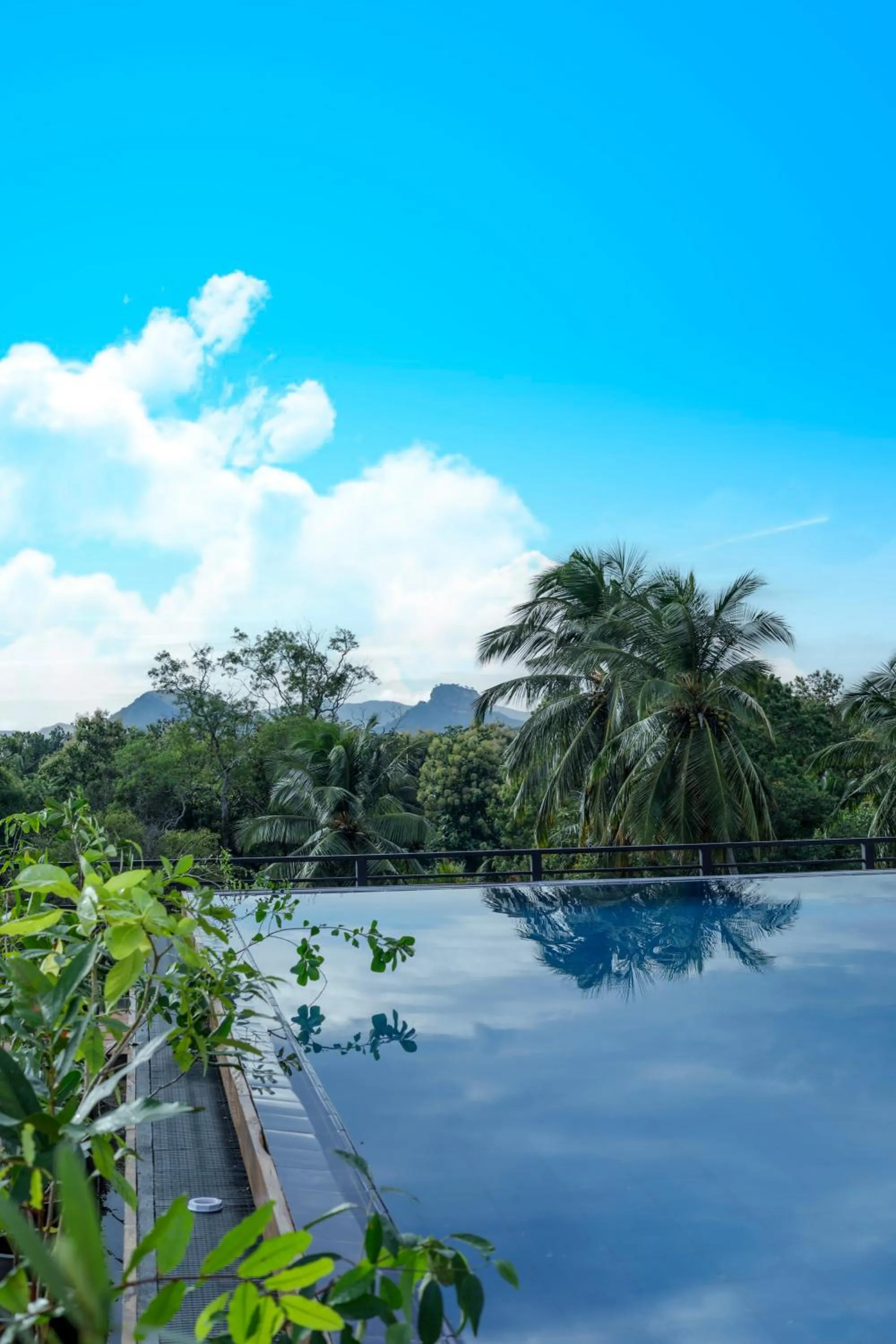 Swimming pool in Covanro Sigiriya - Where Heritage Meets Luxury