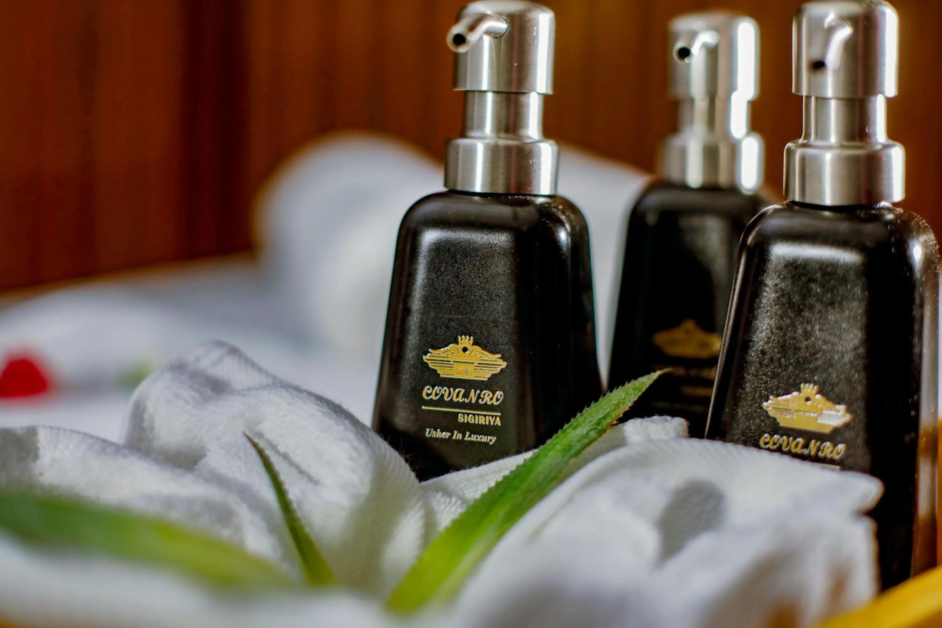 Covanro Sigiriya - Where Heritage Meets Luxury