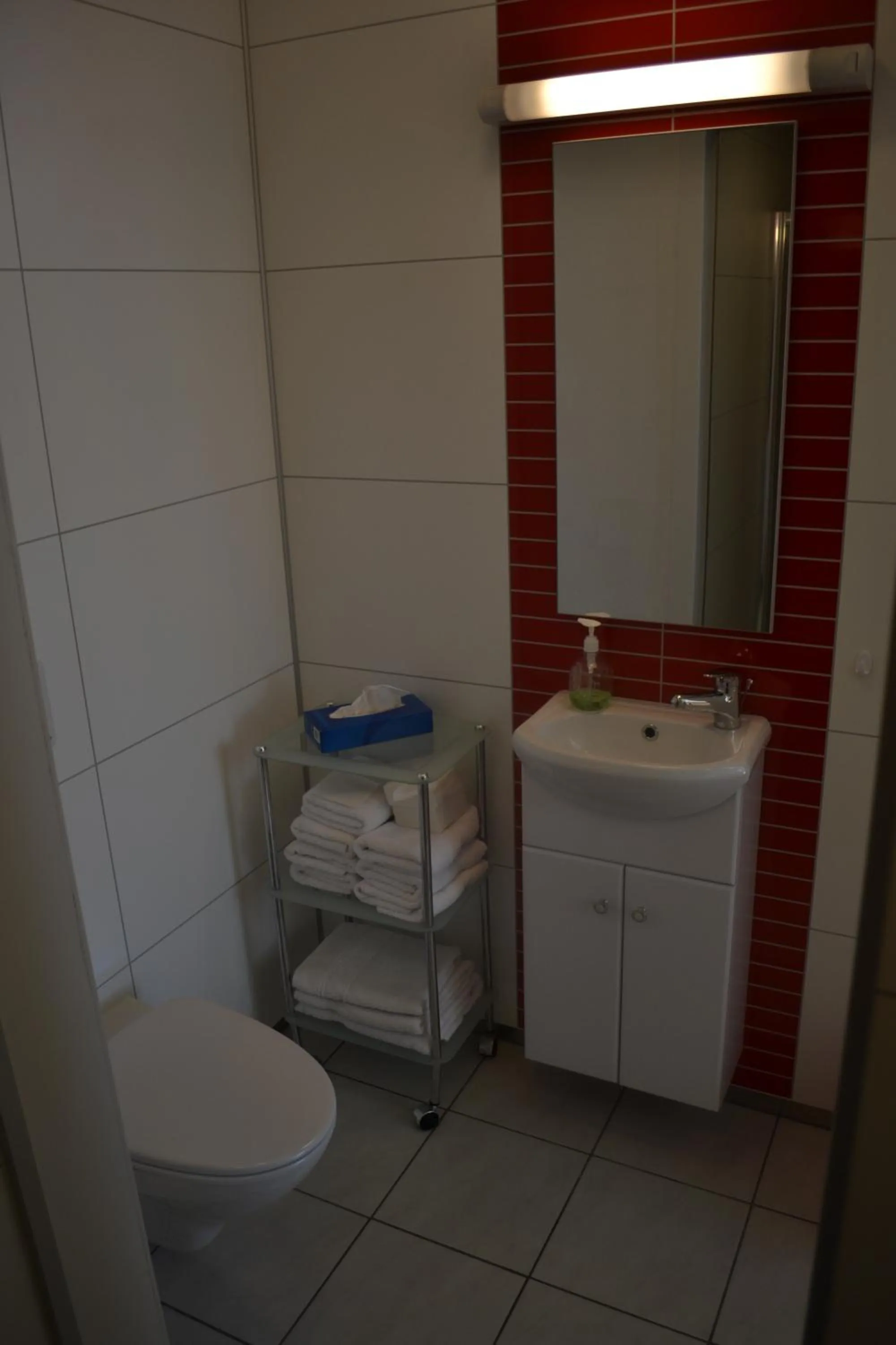 Bathroom in Framtid Apartments and Holiday Homes