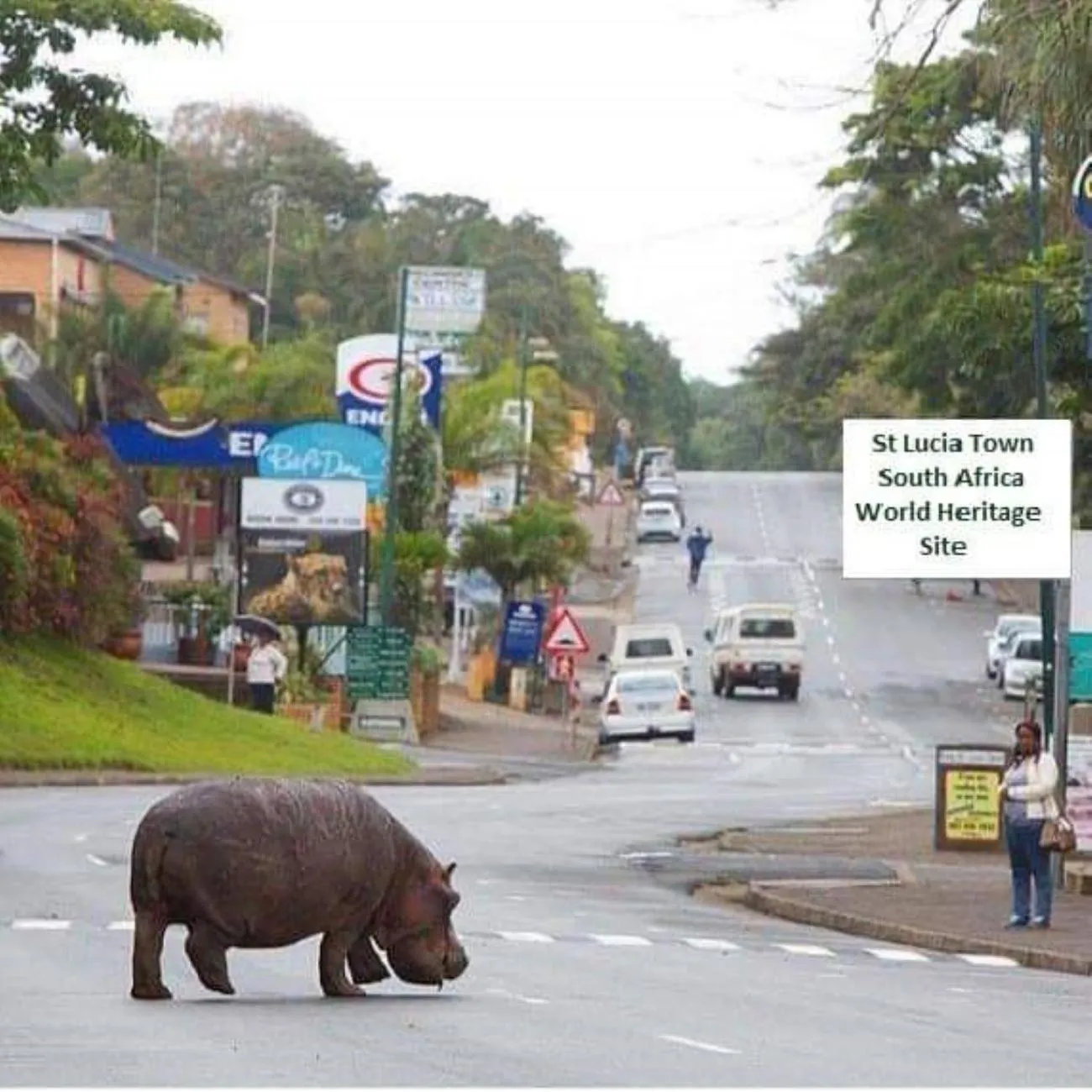Day in Leopard Corner Lodge