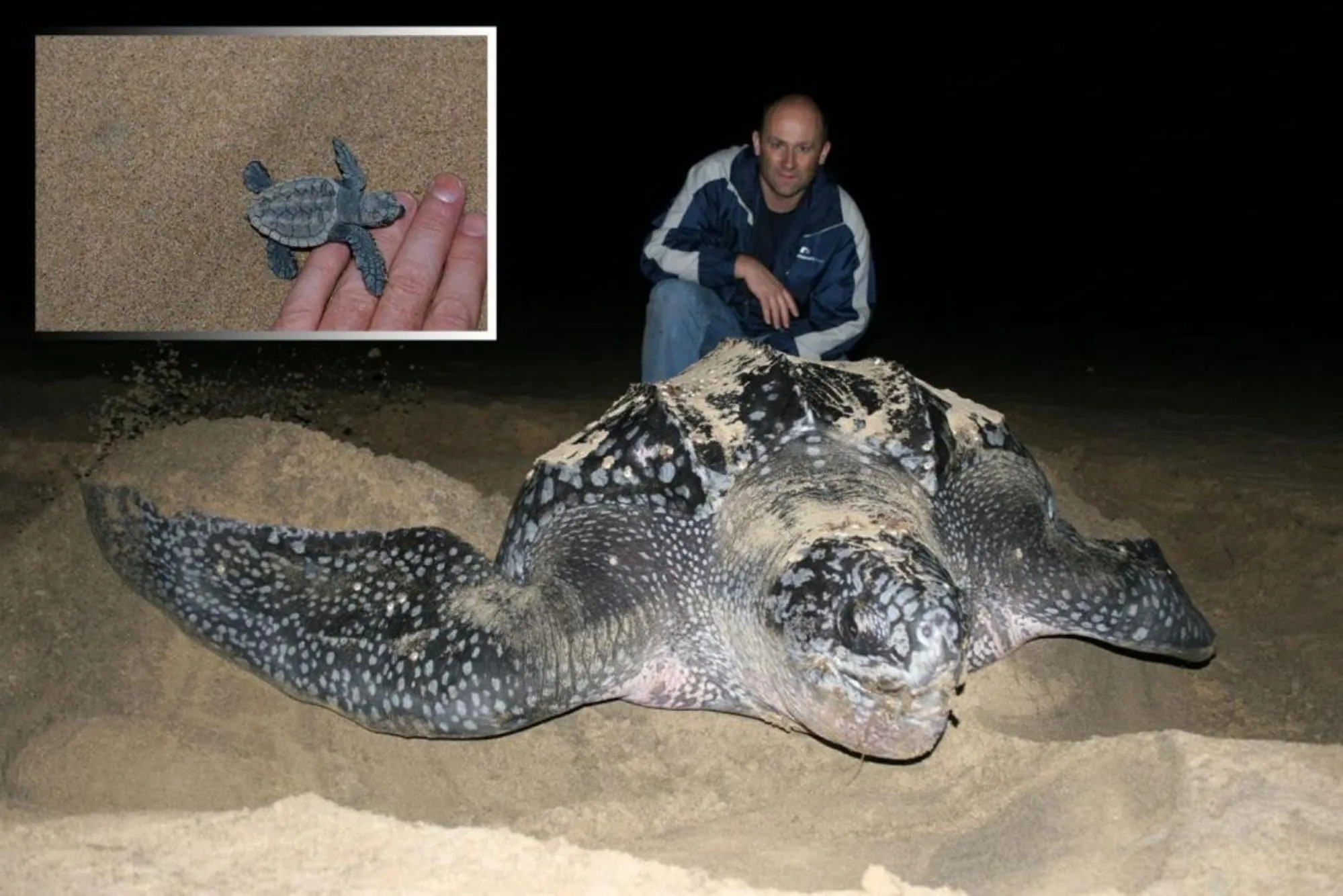 Activities in Leopard Corner Lodge