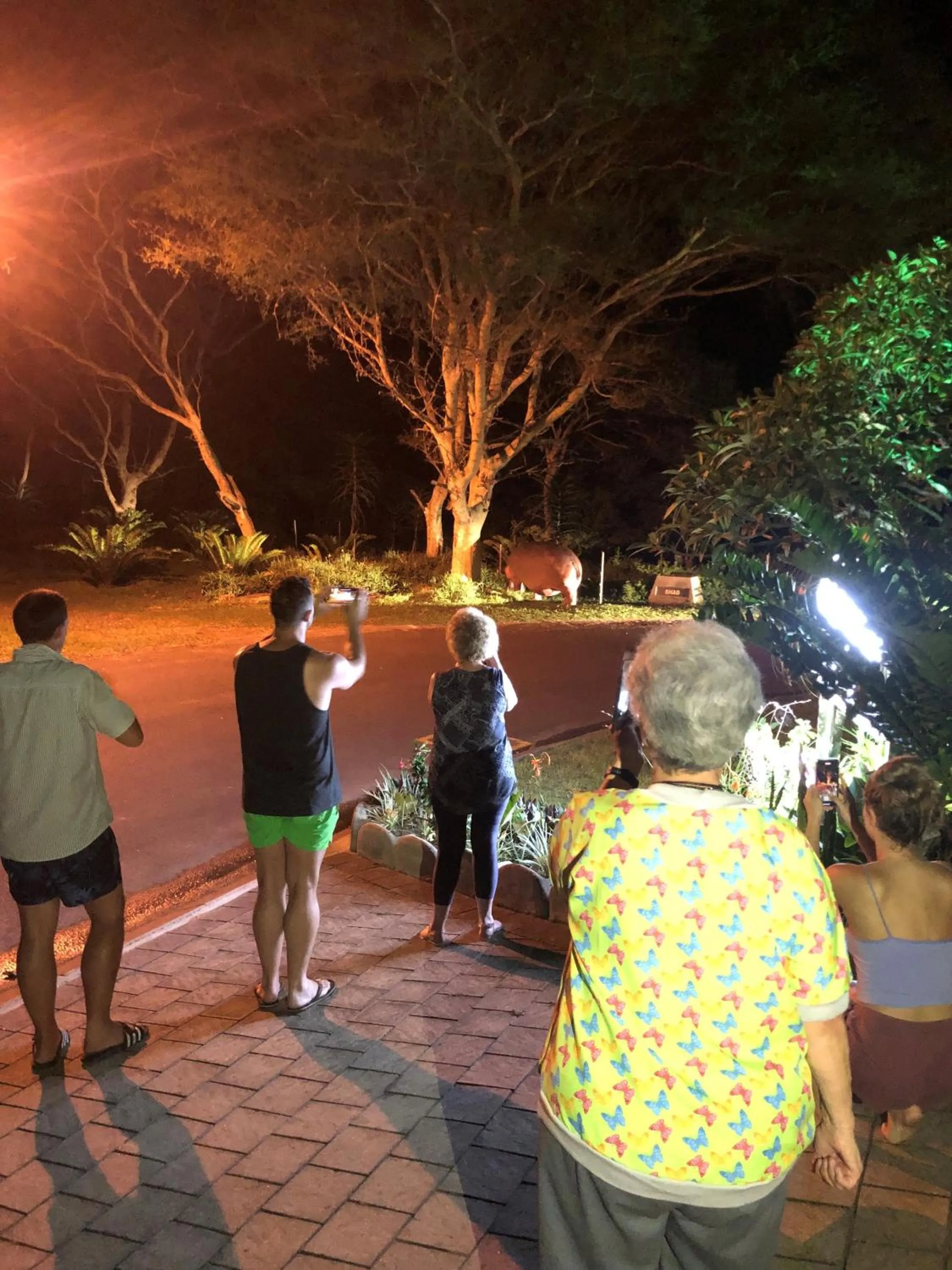 Night in Leopard Corner Lodge