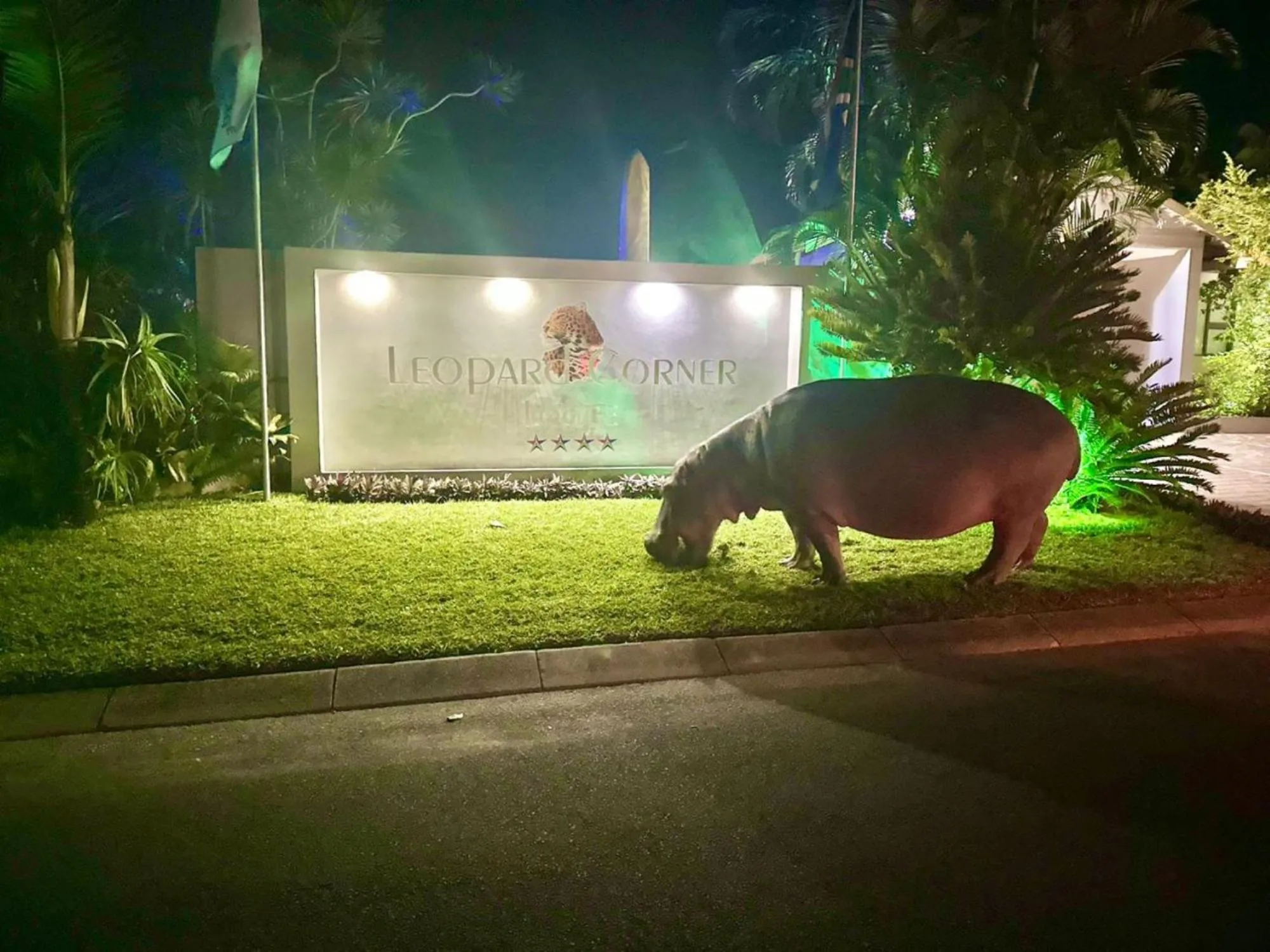 Night in Leopard Corner Lodge