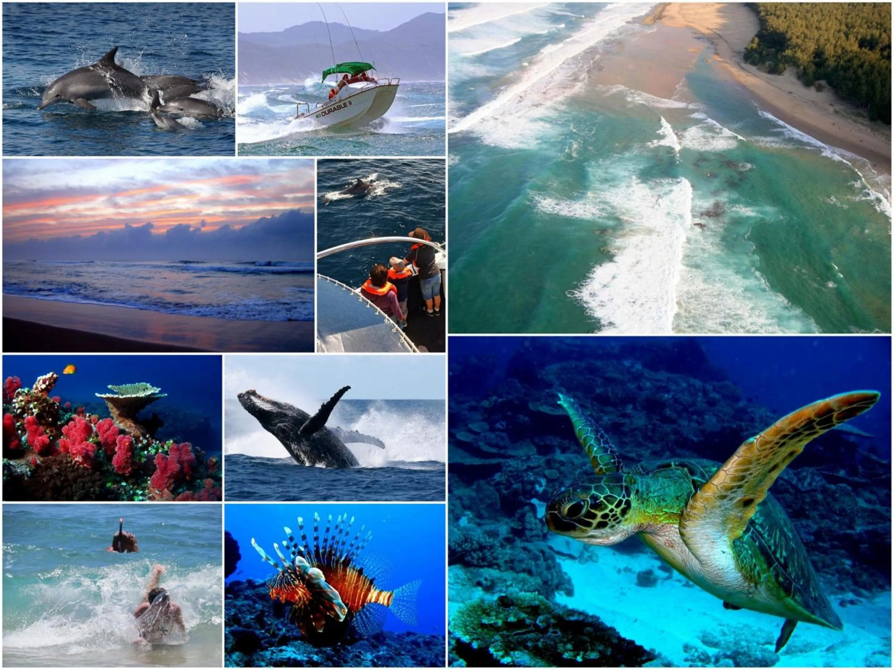 Activities in Leopard Corner Lodge