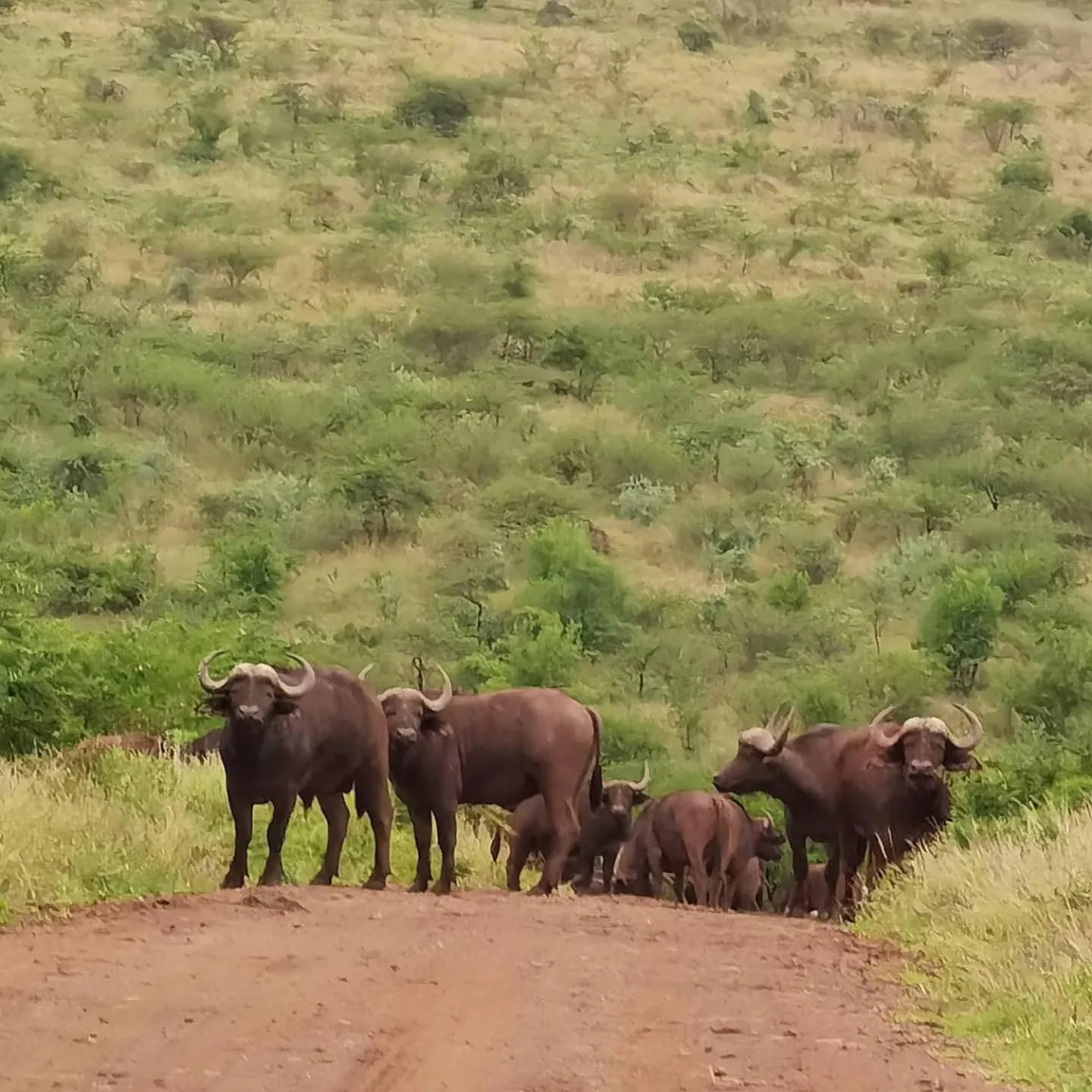Activities in Leopard Corner Lodge